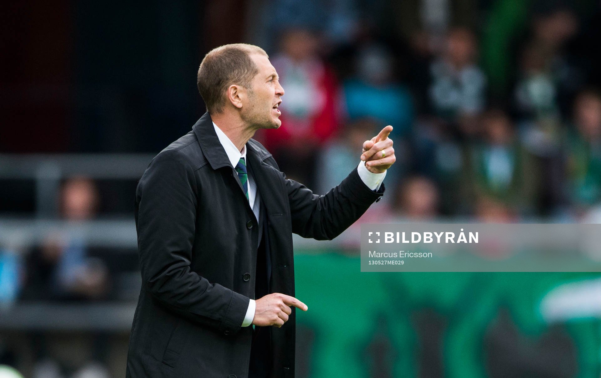 Gregg Berhalter, tränare Hammarby
