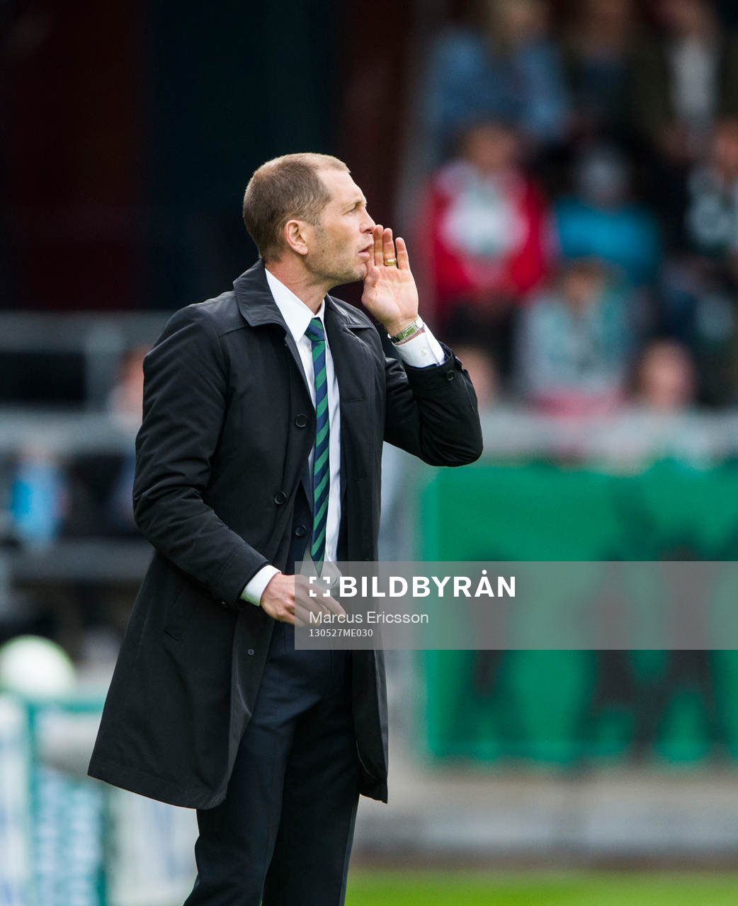 Gregg Berhalter, tränare Hammarby