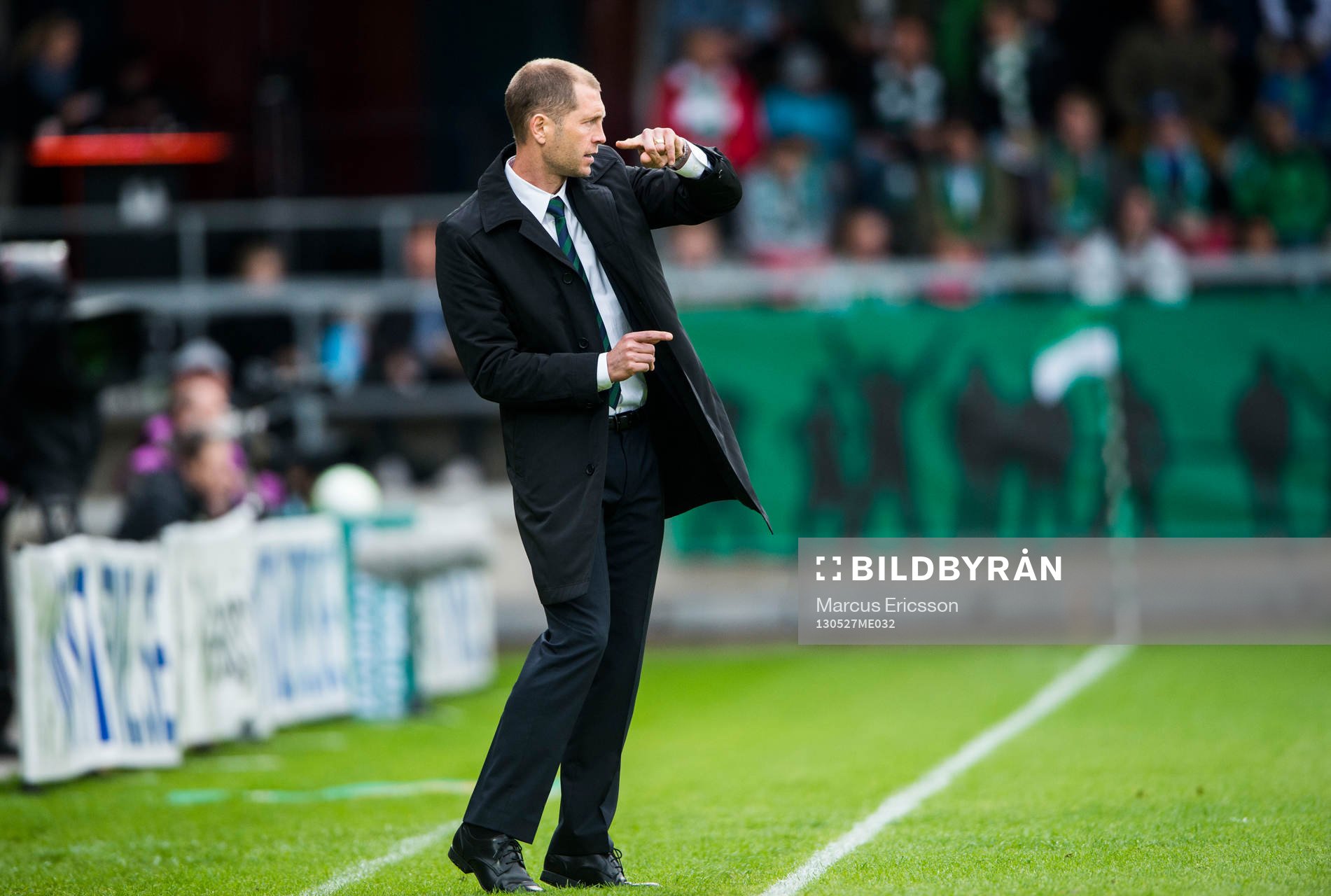 Gregg Berhalter, tränare Hammarby