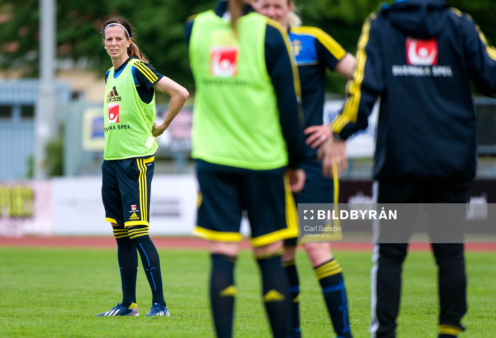 Lotta Schelin, Sverige