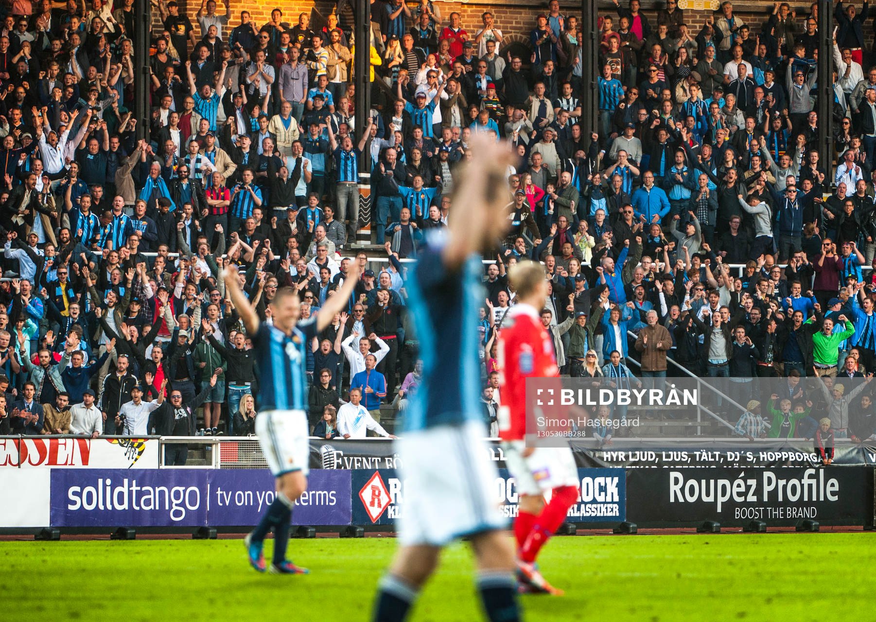 Djurgården-supportrar jublar på läktaren