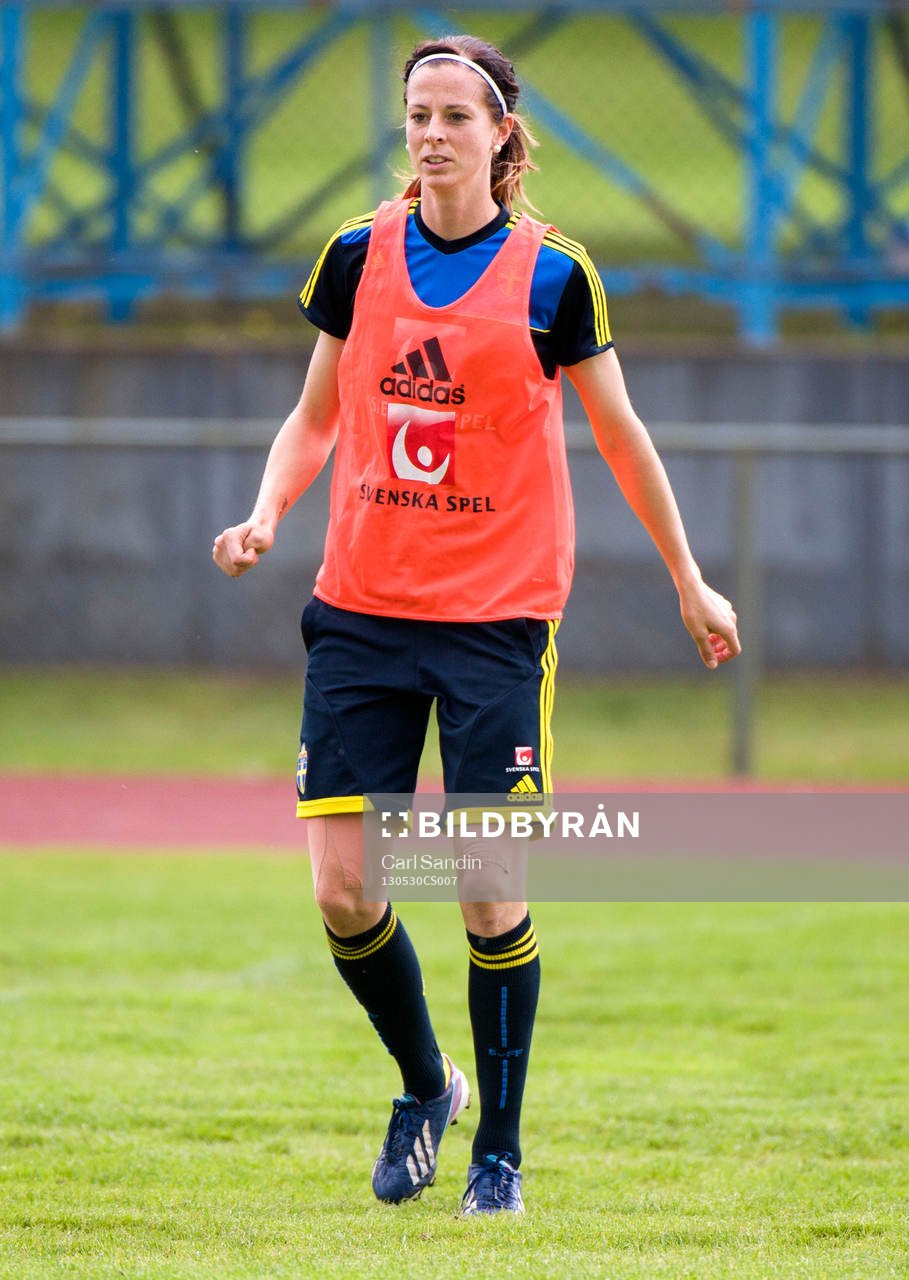 Lotta Schelin, Sverige
