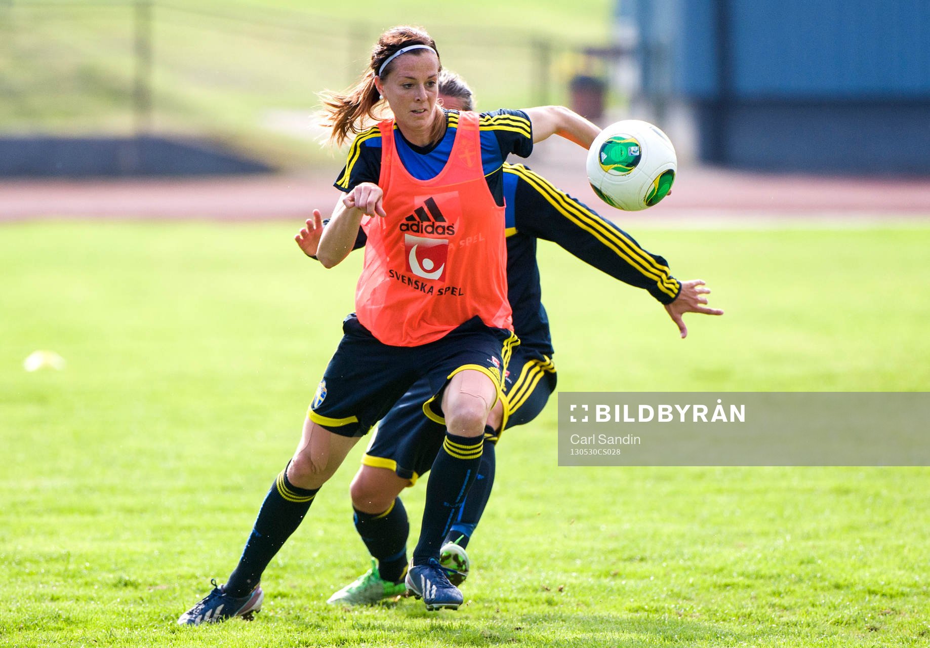 Lotta Schelin, Sverige