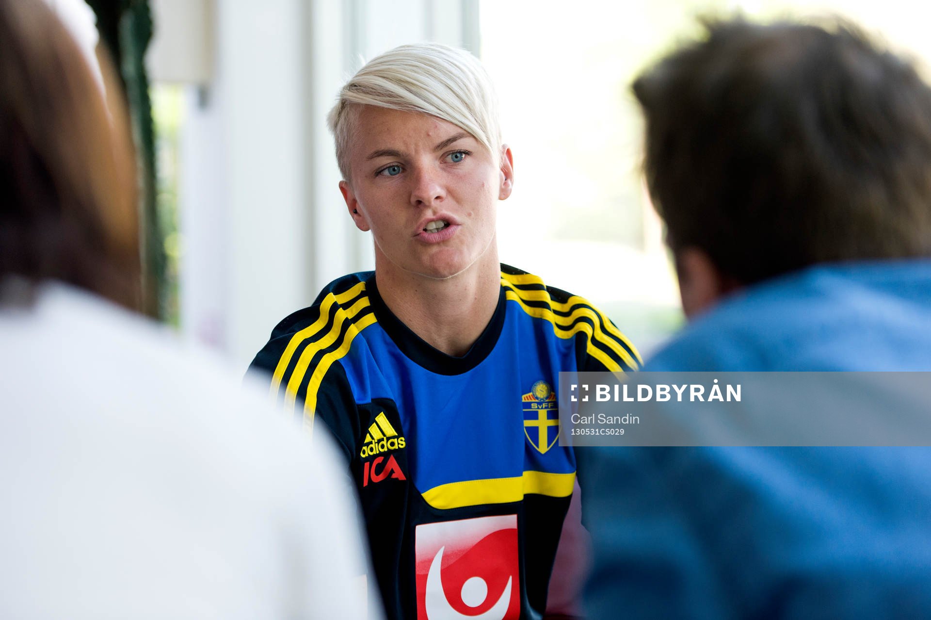 Nilla Fischer, Sverige