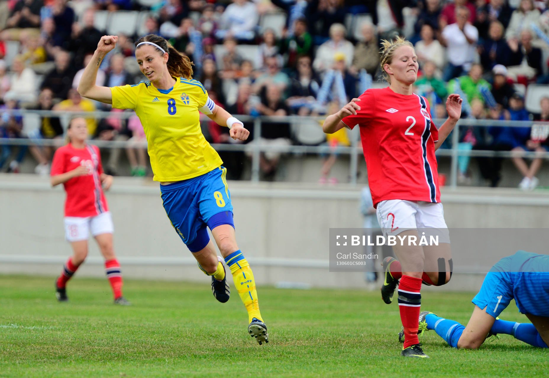Lotta Schelin, Sverige jublar