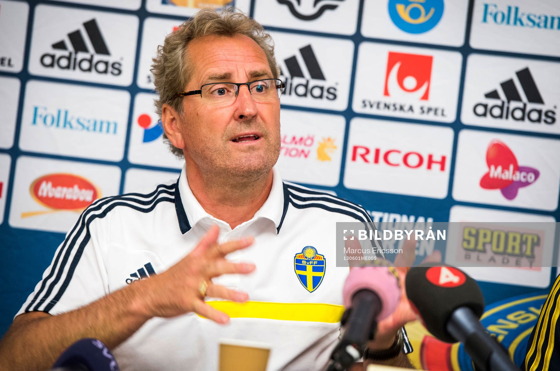 Erik Hamrén, förbundskapten