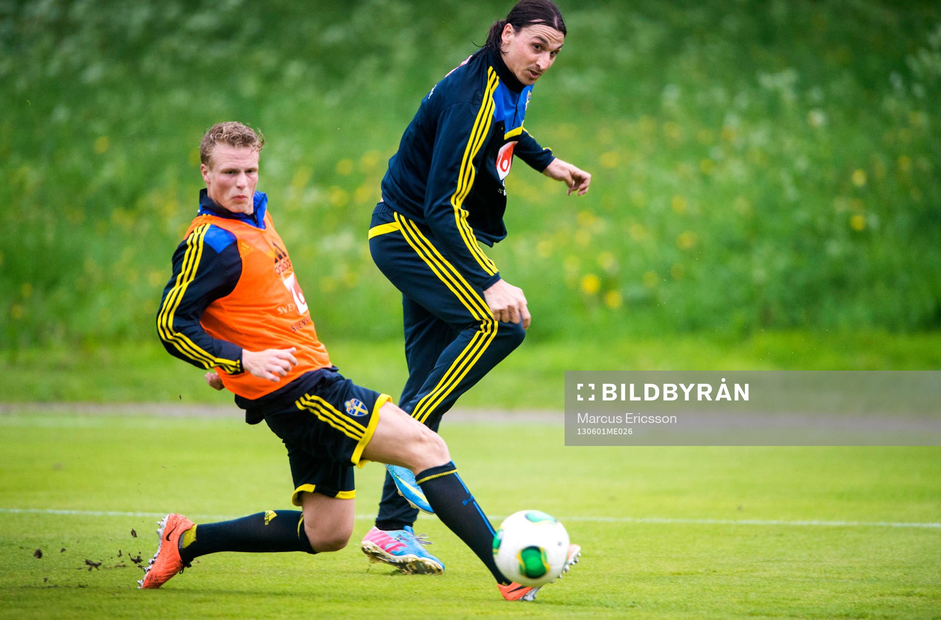 Oscar Hiljemark och Zlatan Ibrahimovic