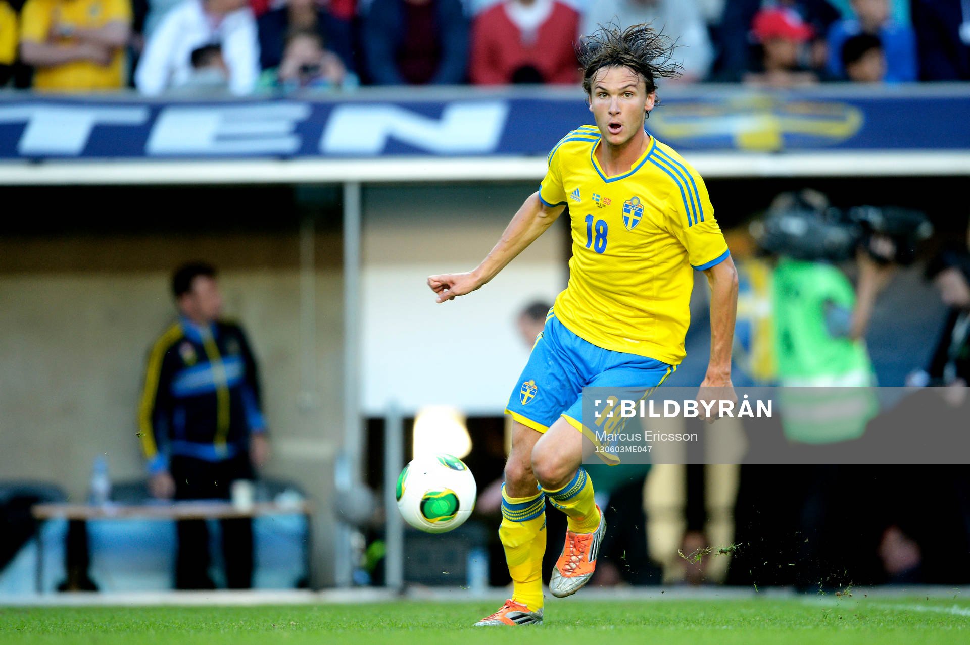 Albin Ekdal, Sverige