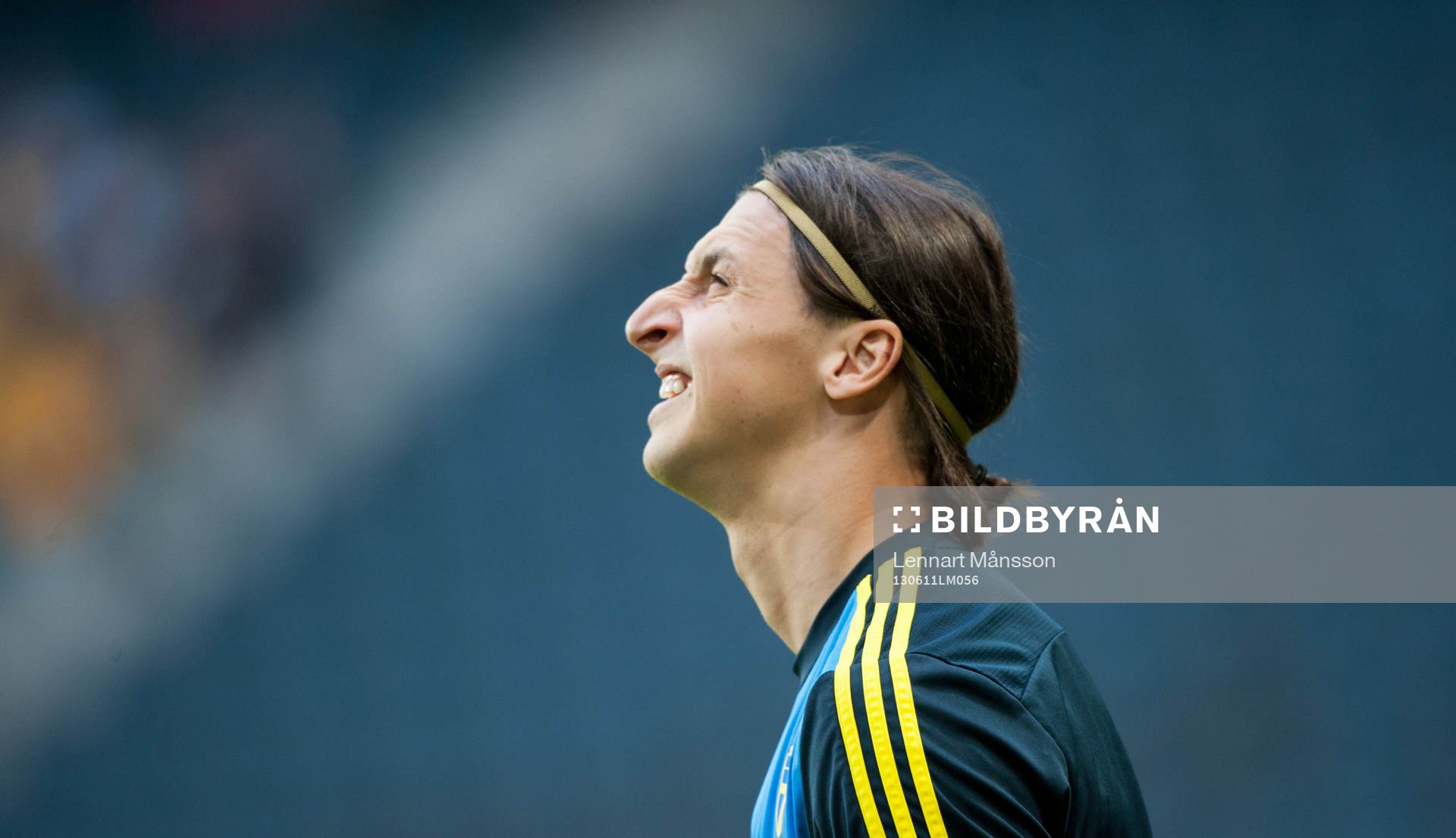 Zlatan Ibrahimovic, Sverige
