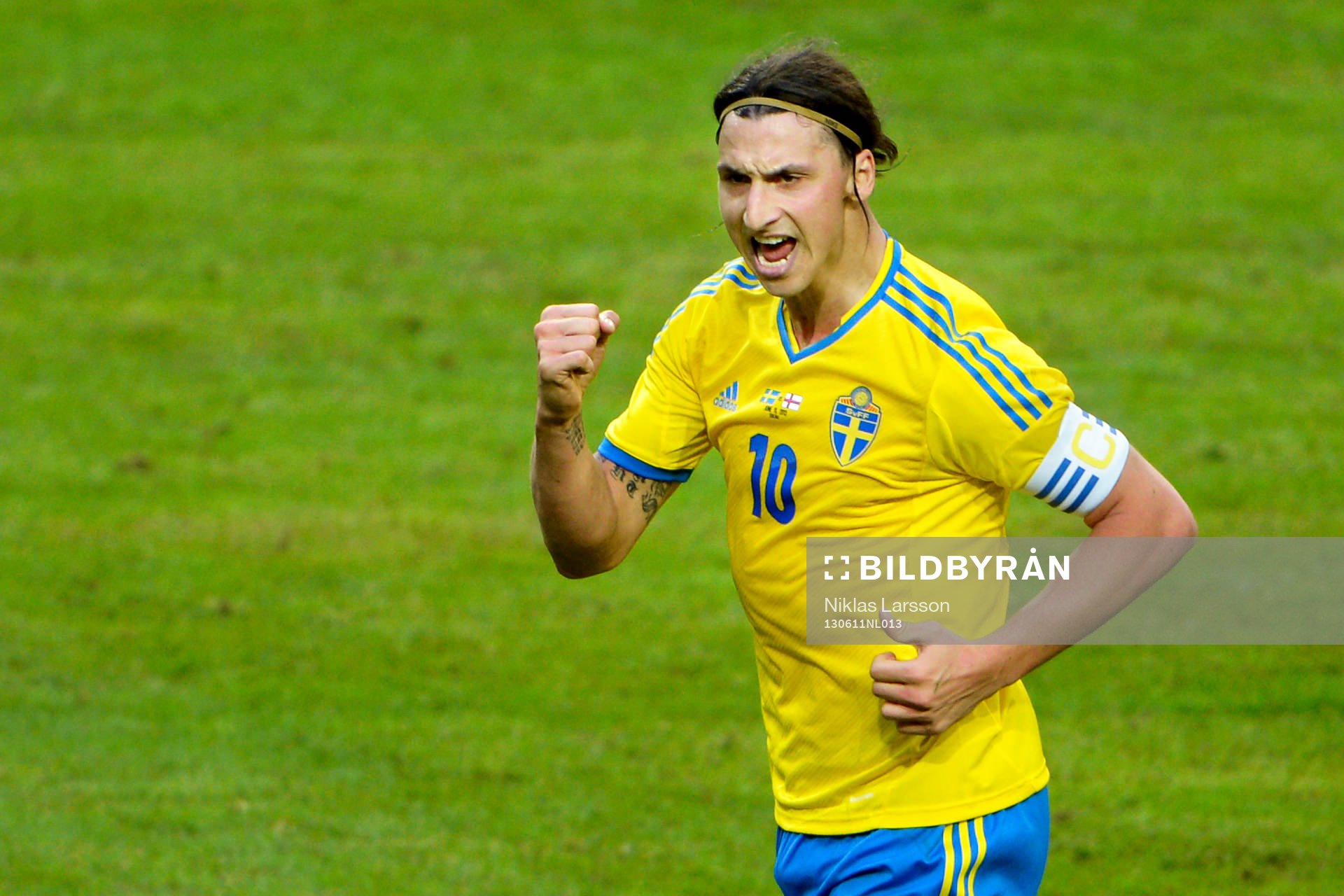 Zlatan Ibrahimovic, Sverige, jublar
