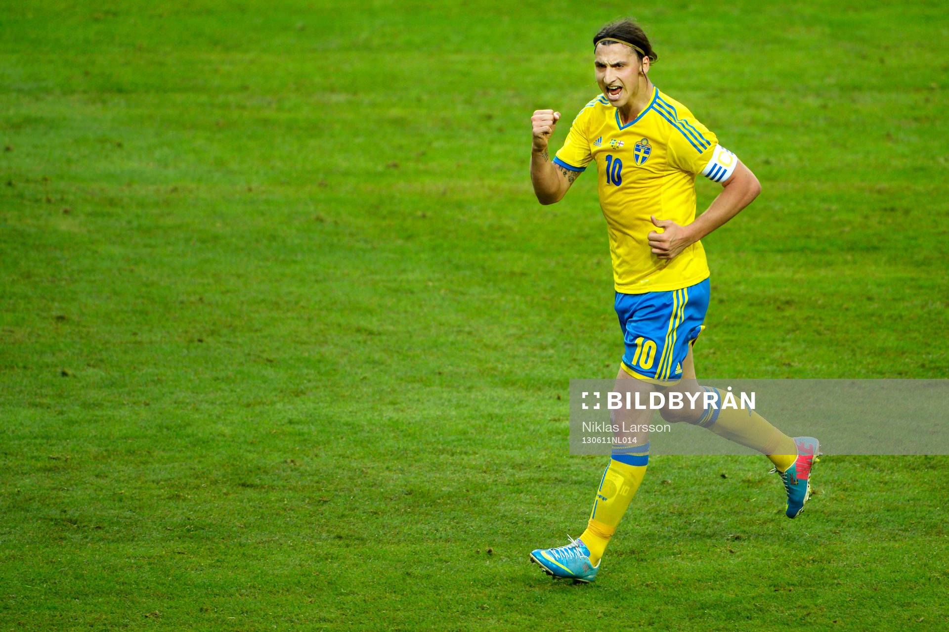 Zlatan Ibrahimovic, Sverige, jublar