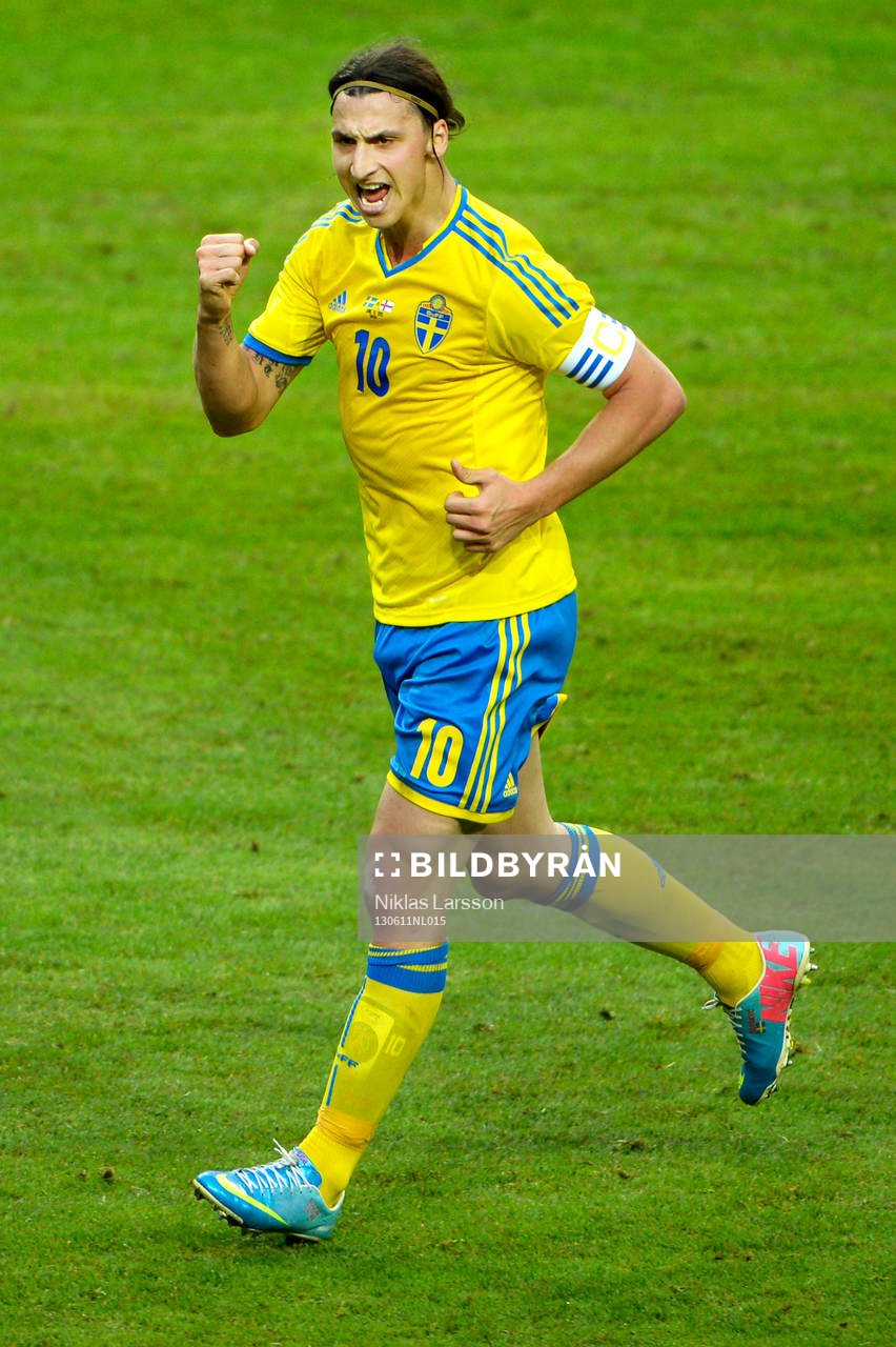 Zlatan Ibrahimovic, Sverige, jublar