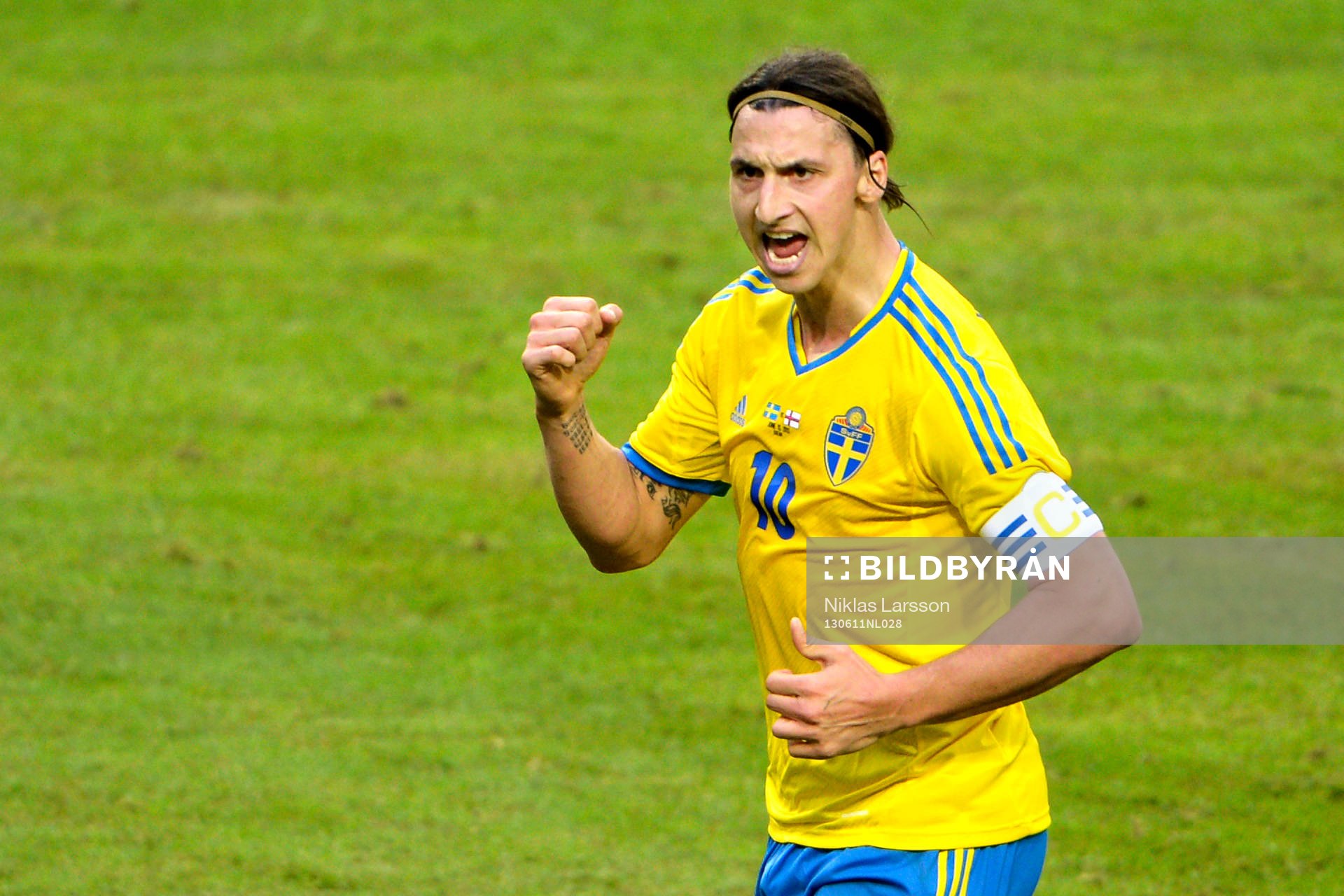 Zlatan Ibrahimovic, Sverige, jublar