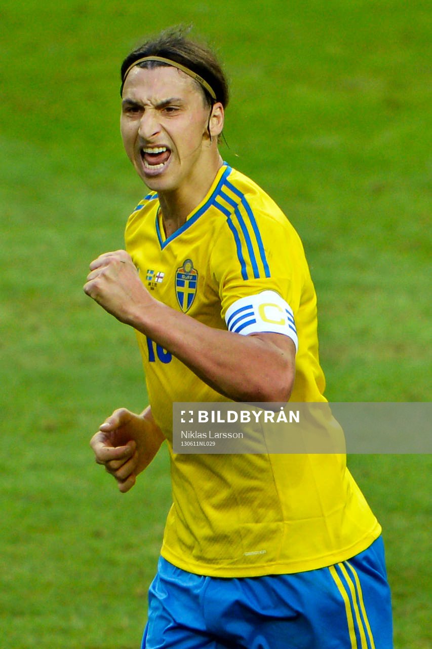 Zlatan Ibrahimovic, Sverige, jublar