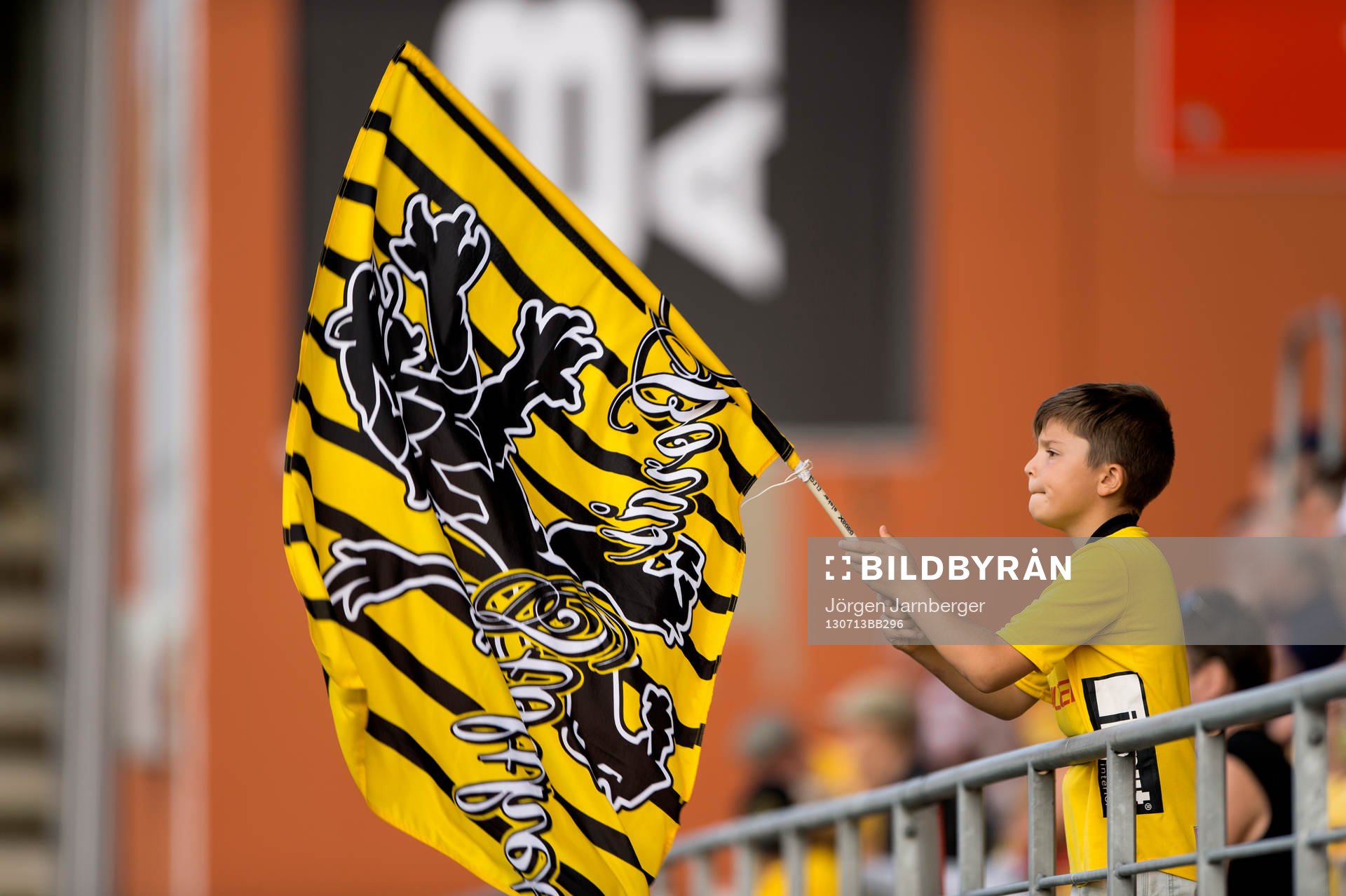 Ung Elfsborgs supporter i matchen mellan Elfsborg och
