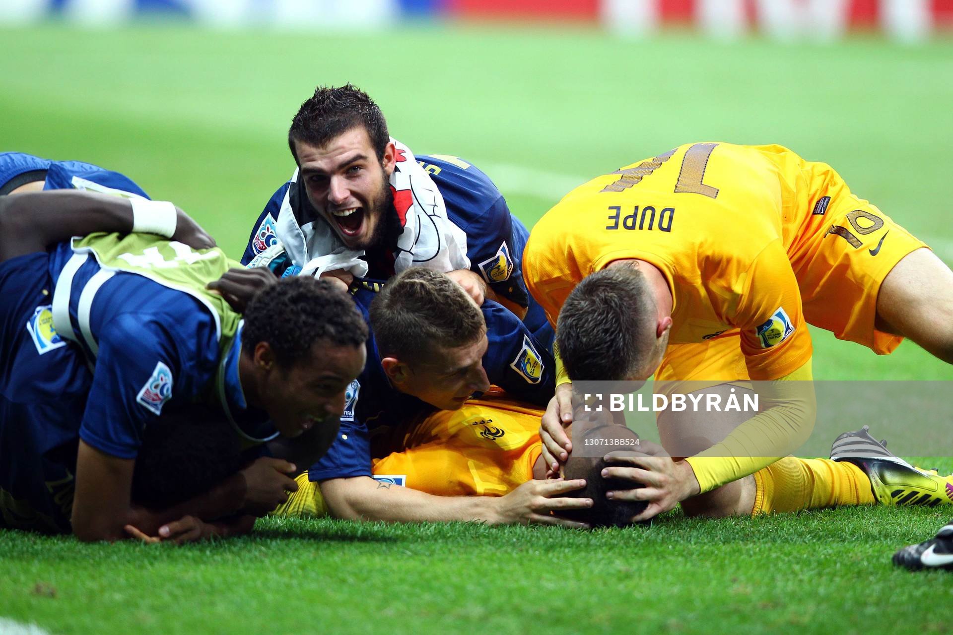 Victoire de la France - Alphonse Areola    - France