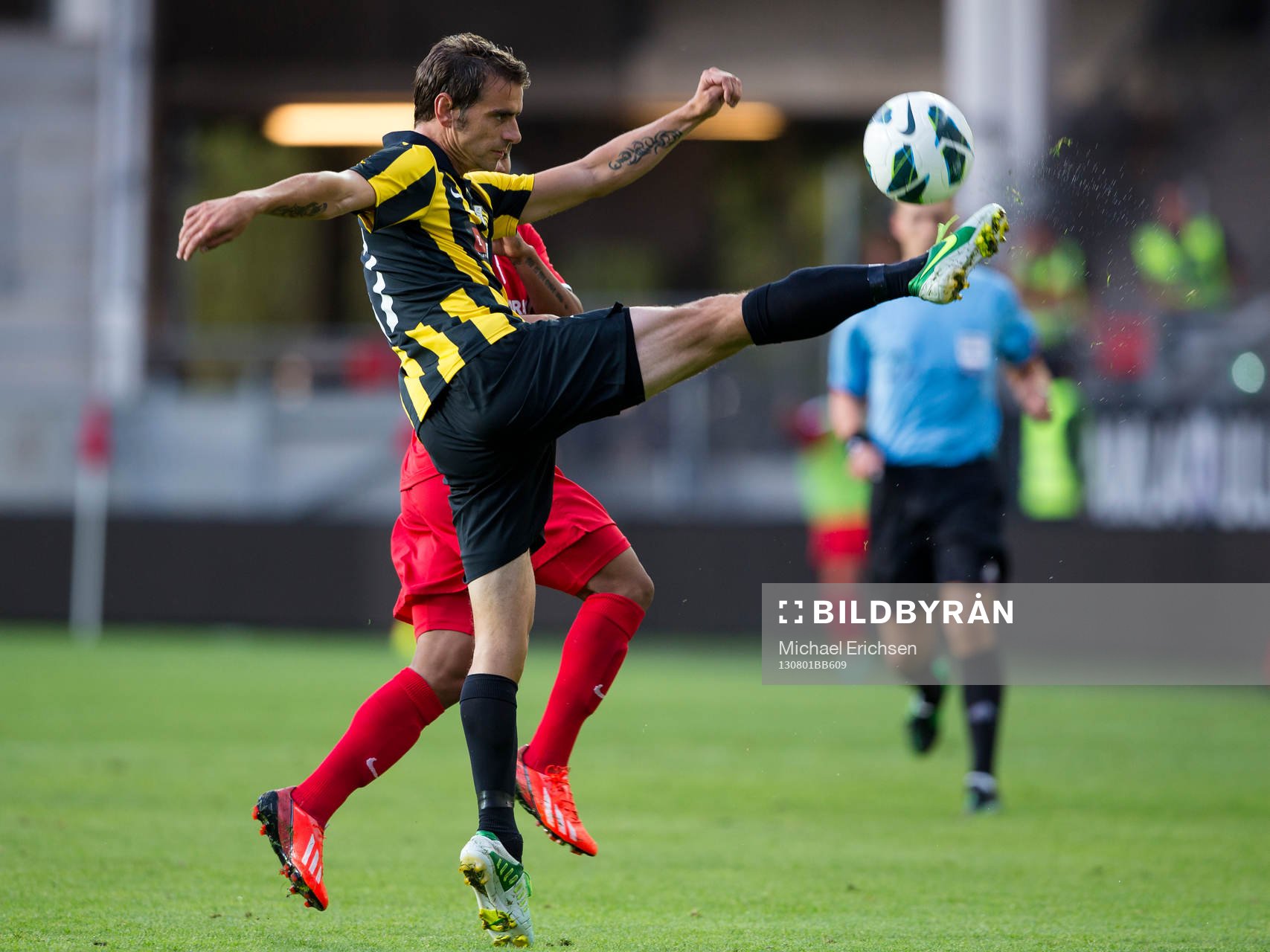 Häckens Björn Anklev