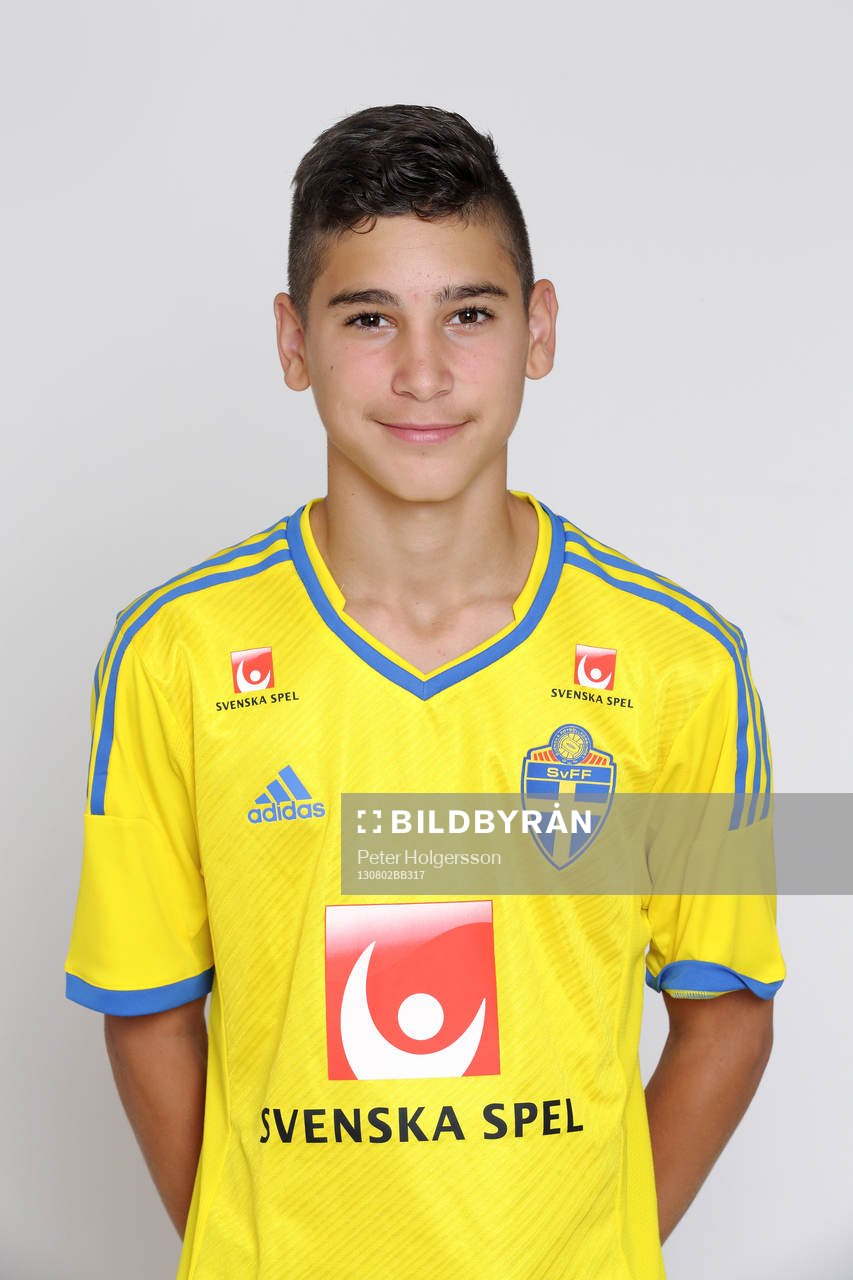 Alfred Ajdarevic