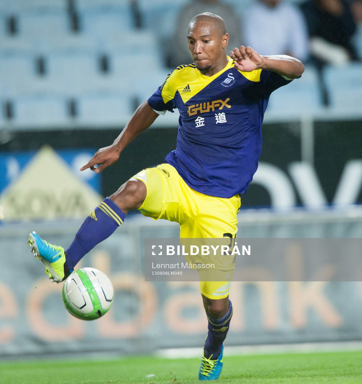 Jonathan de Guzman, Swansea