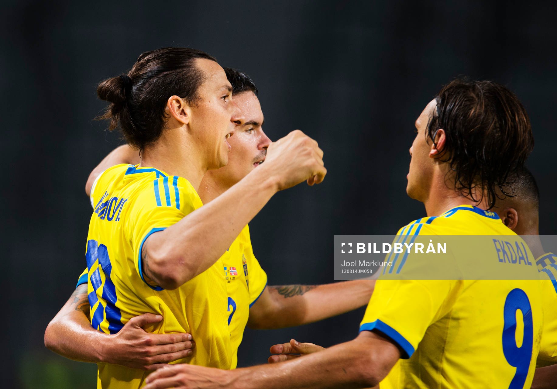 Sveriges Zlatan Ibrahimovic (v) jublar
