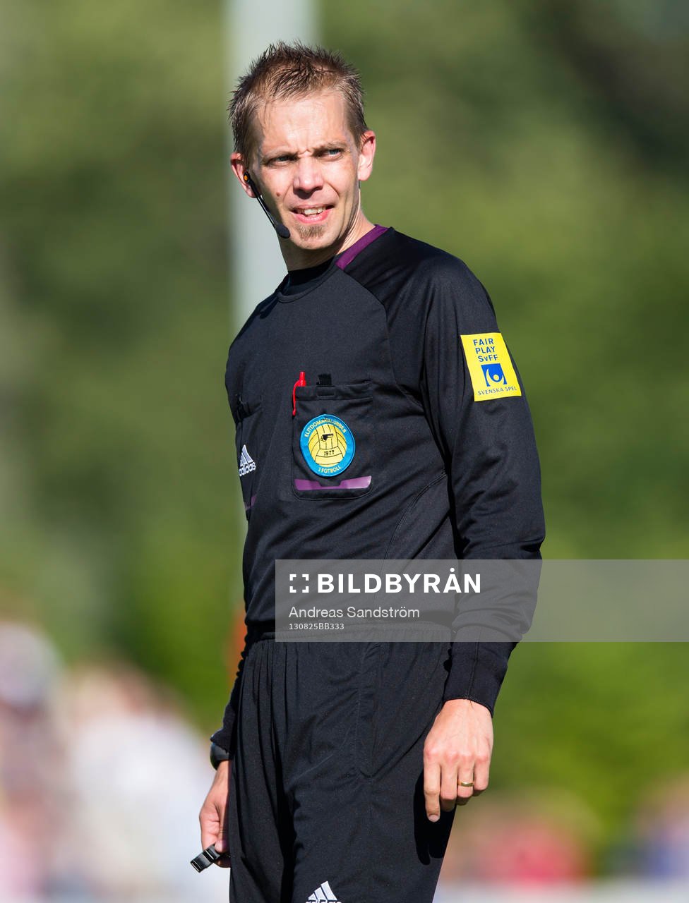 Domare Johan Hamlin