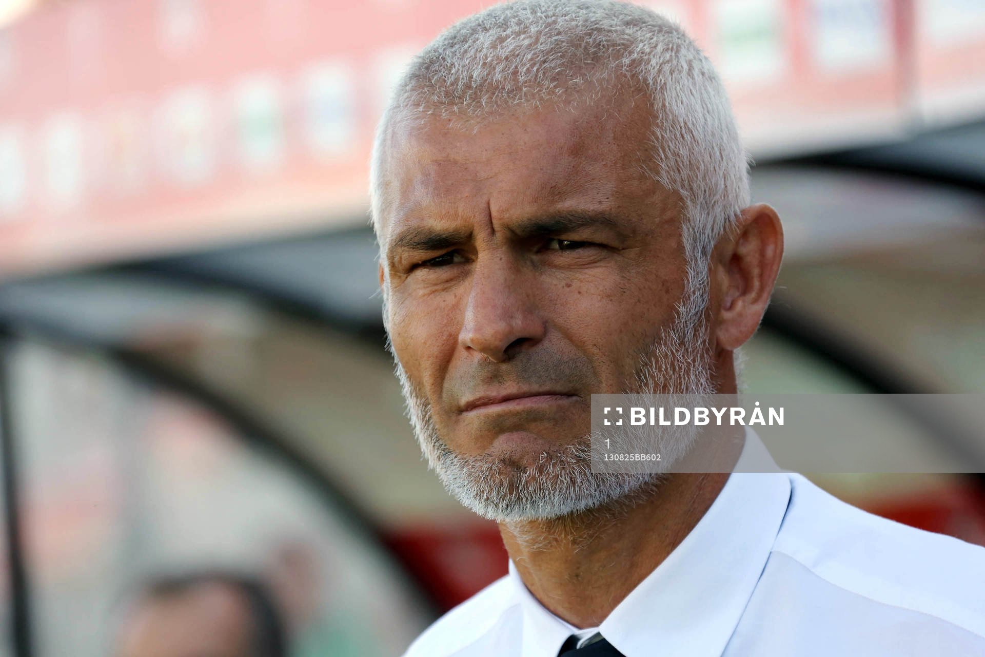  Fotboll, Lique 1, Ajaccio - Nice: Fabrizio RAVANELLI - 25.08.2013 - Ajaccio / Nice - 3e journee Ligue 1