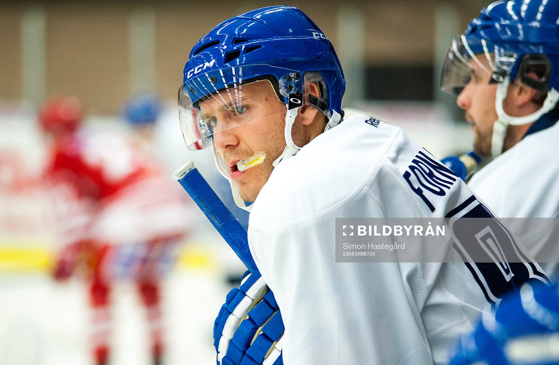 Matthew Fornataro, Leksand