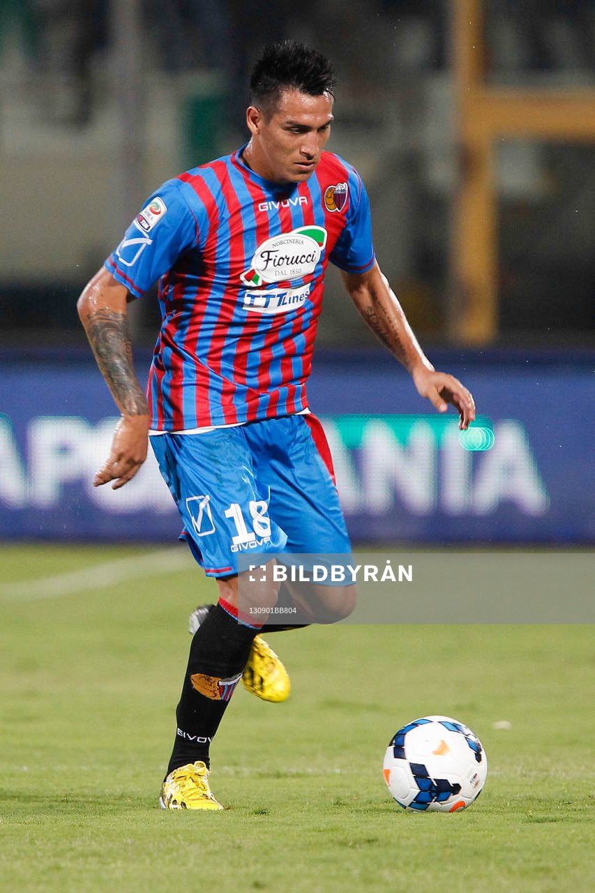 Fotboll, Serie A, Catania - Inter: Fabian Monzon - 01.09.2013 - Catane / Inter Milan - 2eme journee de Serie A
