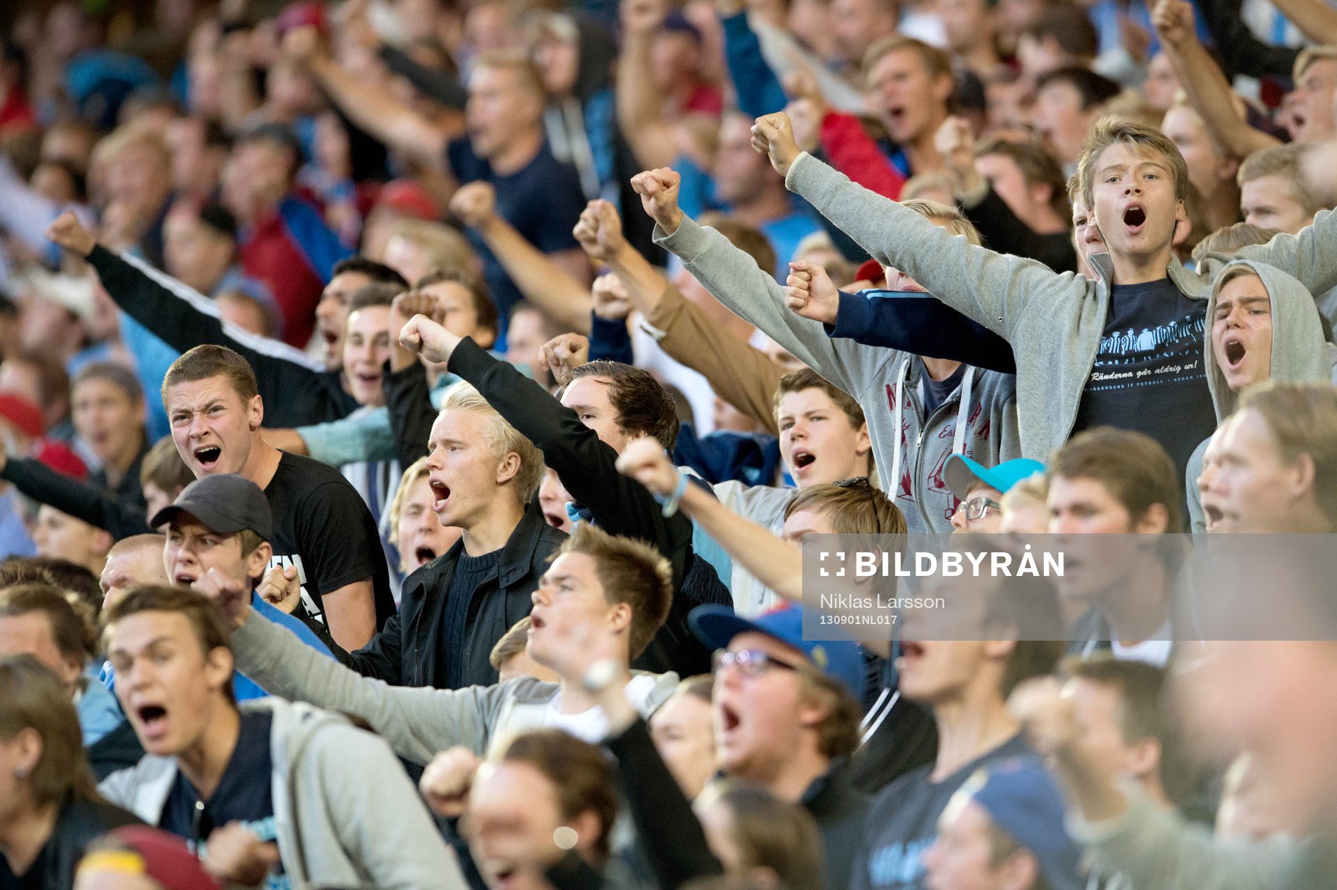 Fans Djurgården