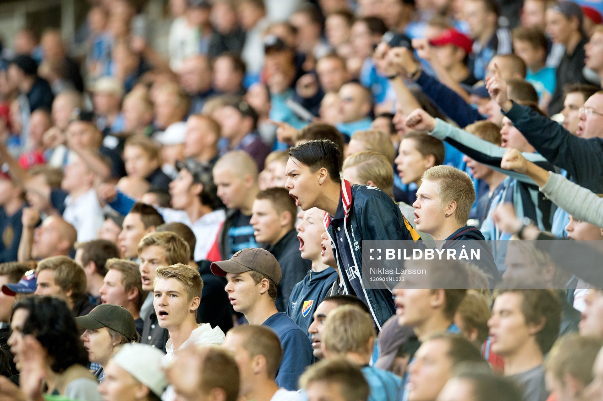 Djurgårdens fans