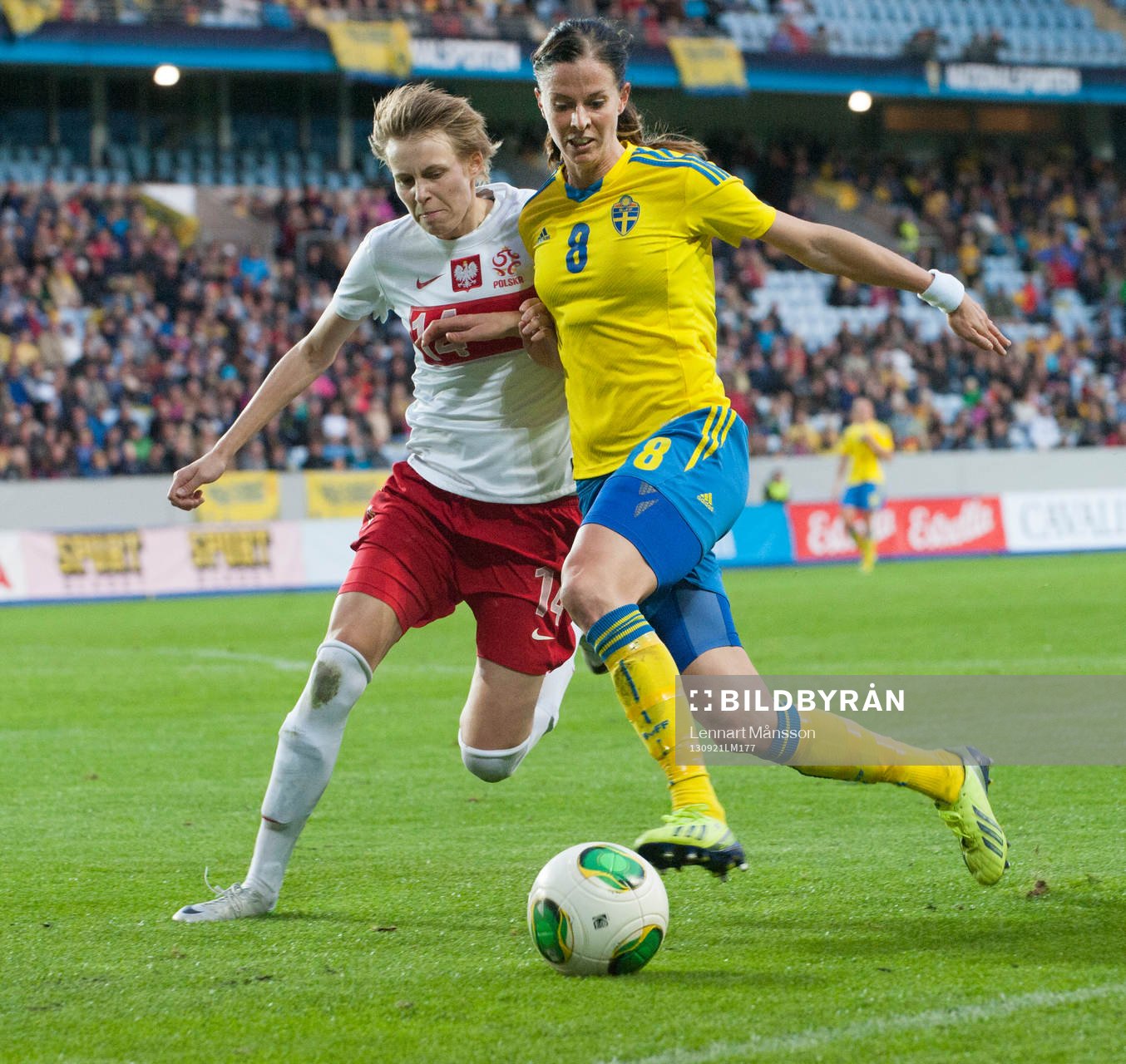 Lotta Schelin, Sverige