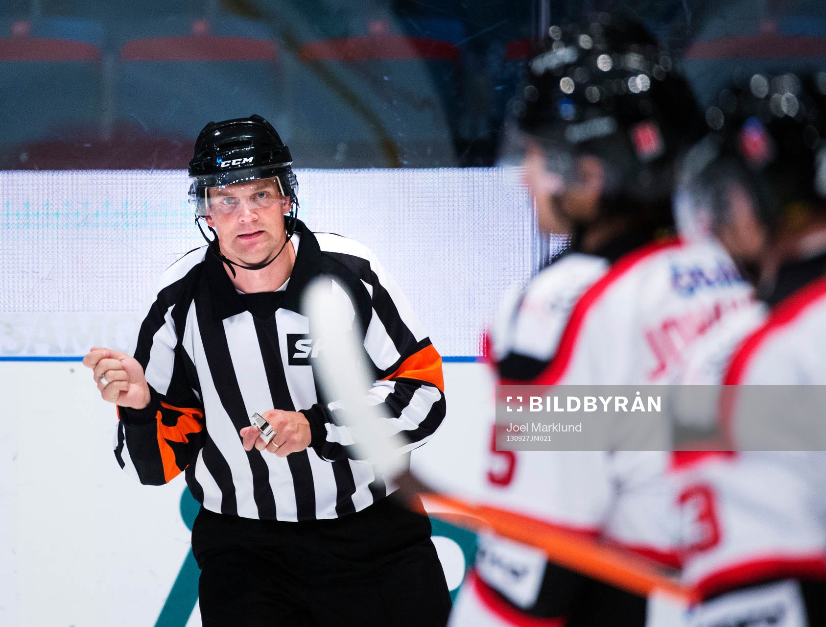Domare Mikael Nord