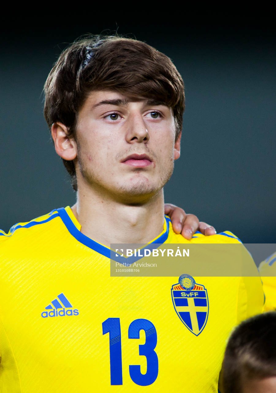 Sveriges Arber Zeneli