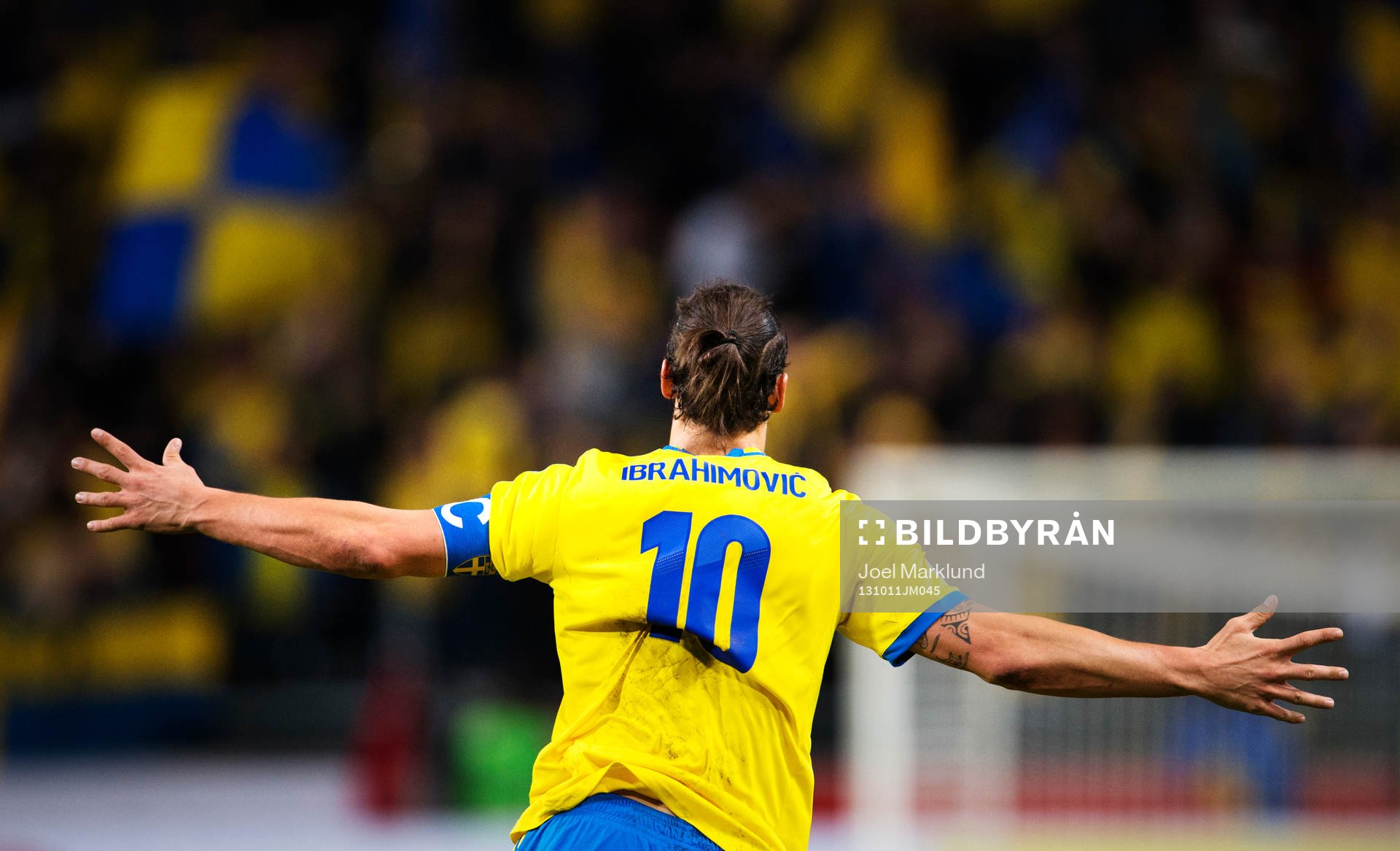 Sveriges Zlatan Ibrahimovic jublar