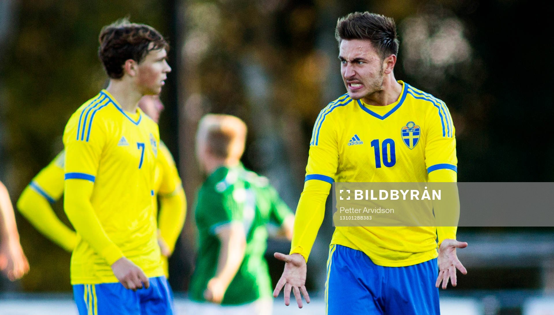Sveriges Muamer Tankovic reagerar när Irland gör mål