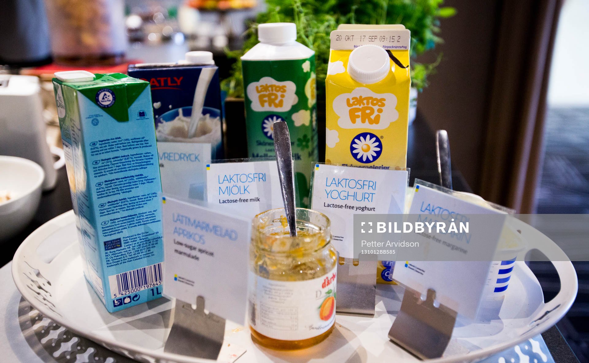 Bilder bakom kulisserna från P18s EM-kvalet