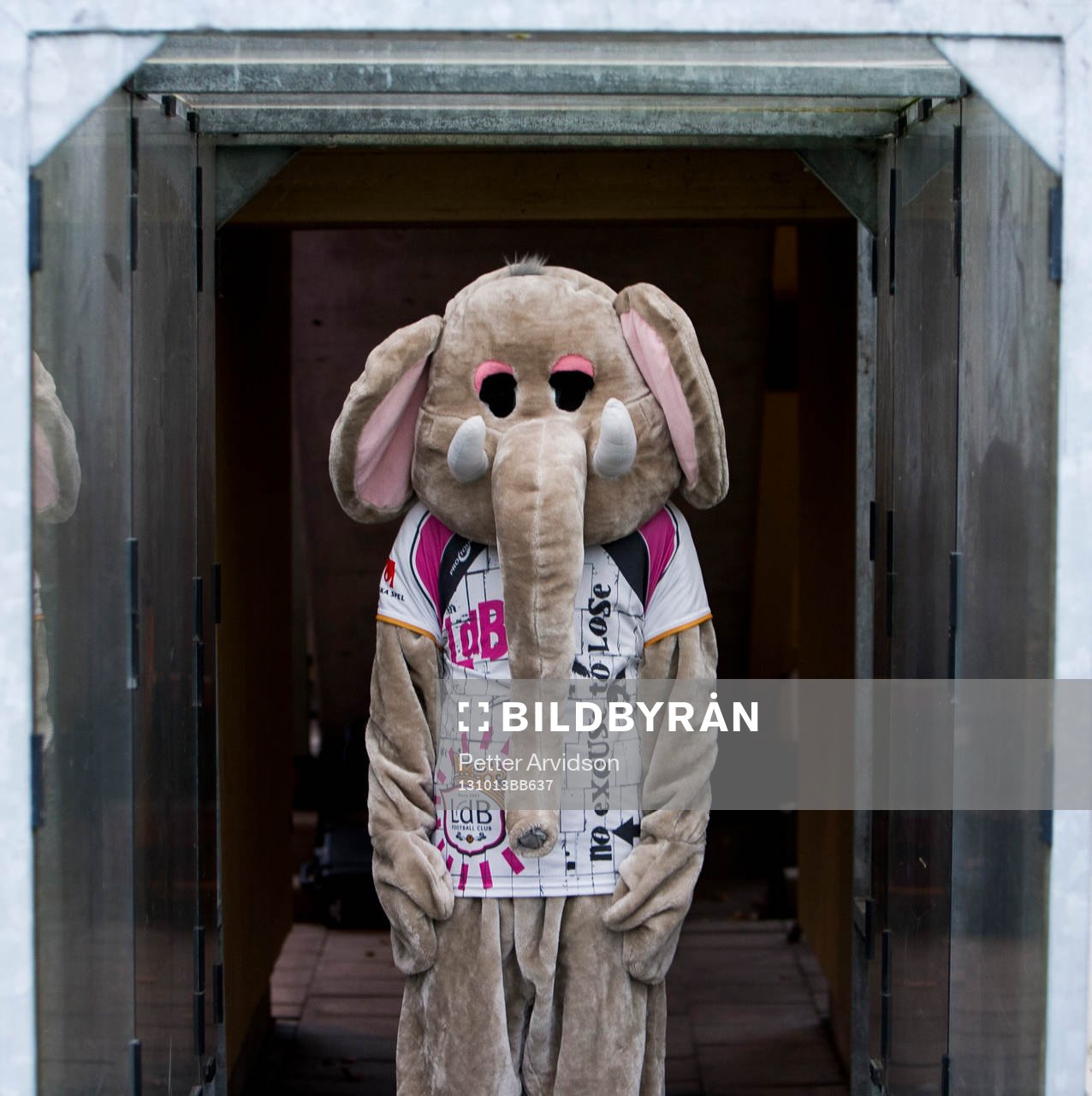 LdB Malmös maskot