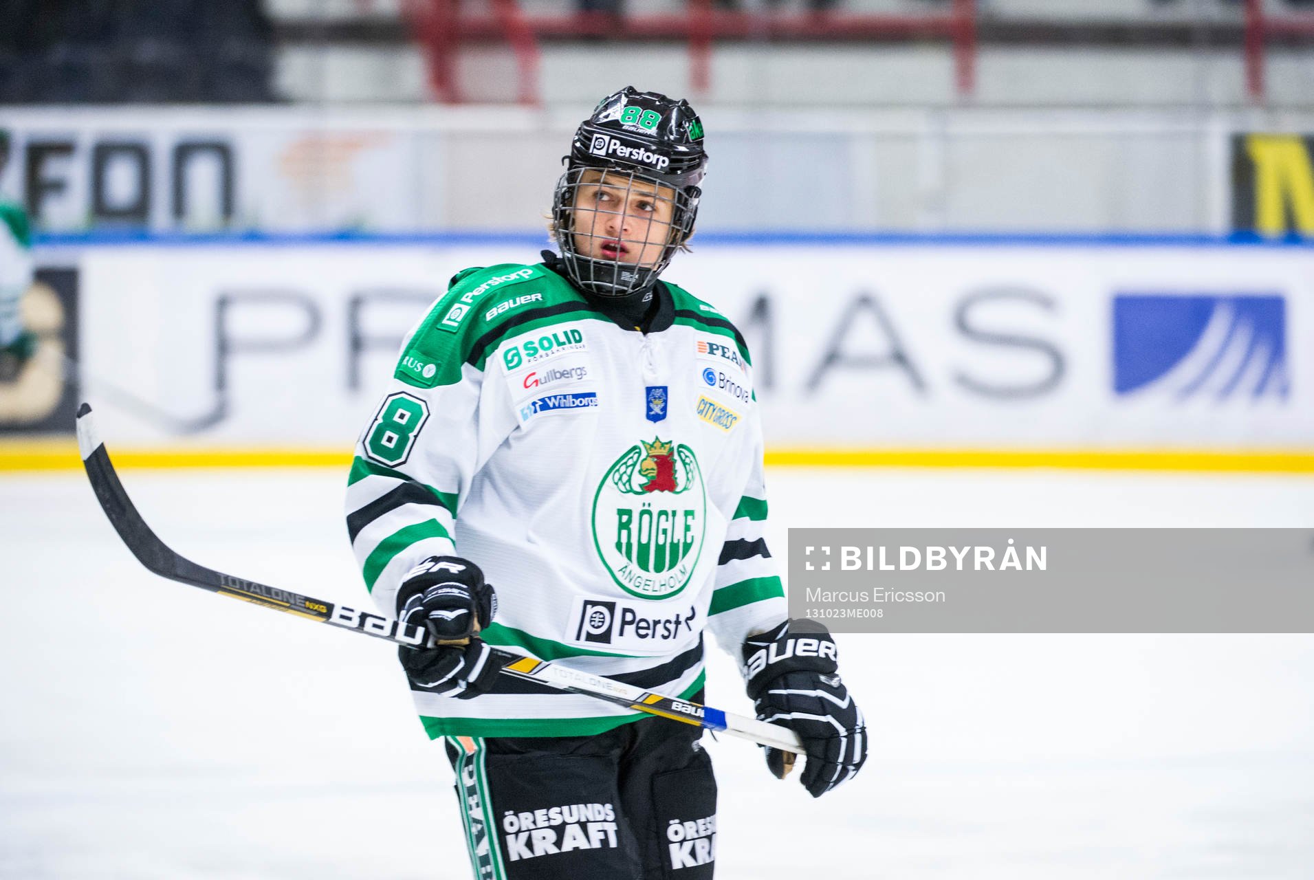 Rögles William Nylander Altelius