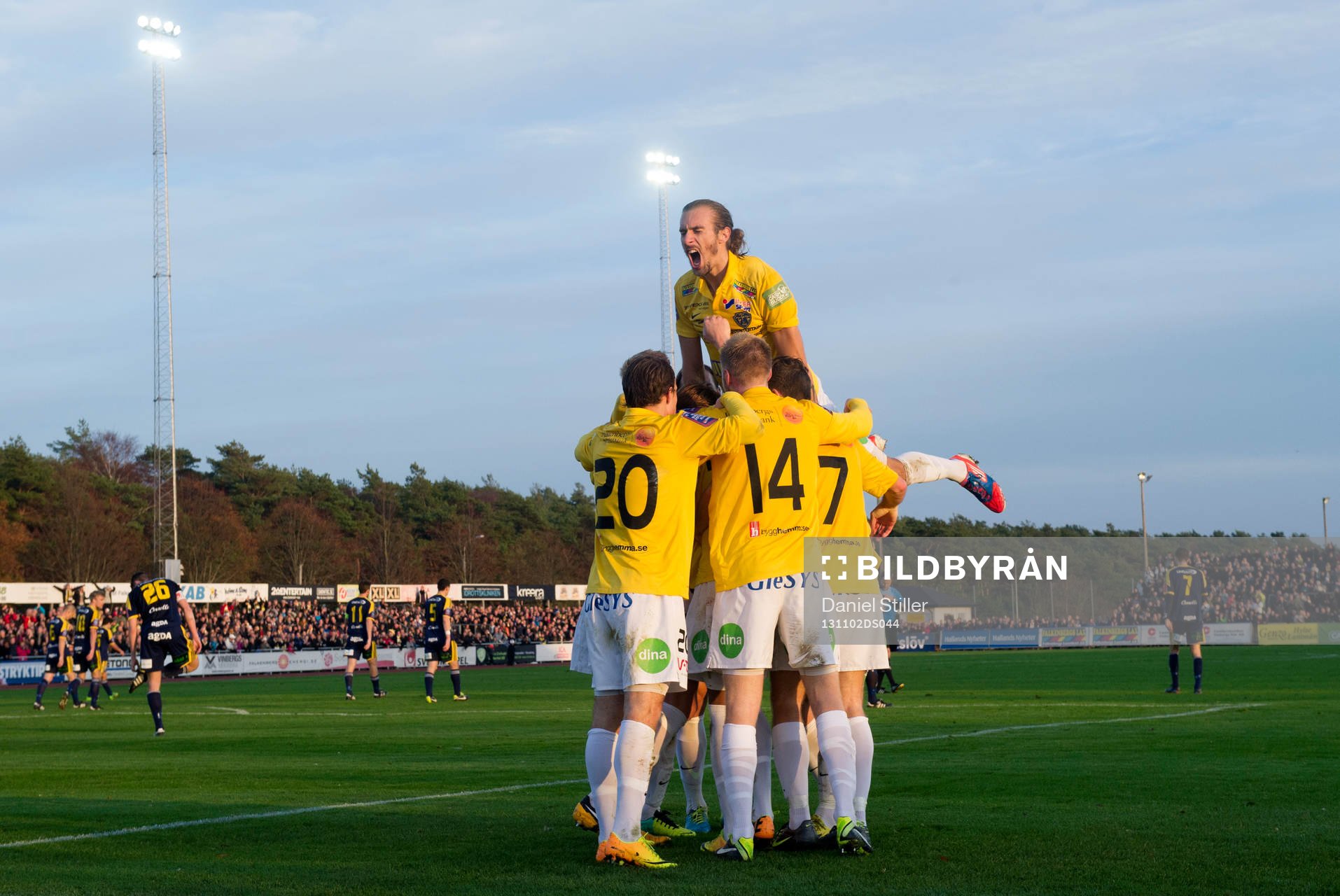 Falkenbergs Tobias Karlsson jublar högst efter att Niclas Eliasson gjort 1-1 under fotbollsmatchen i Superettan mellan Falkenberg och Ängelholm 02 november 2013 i Falkenberg.