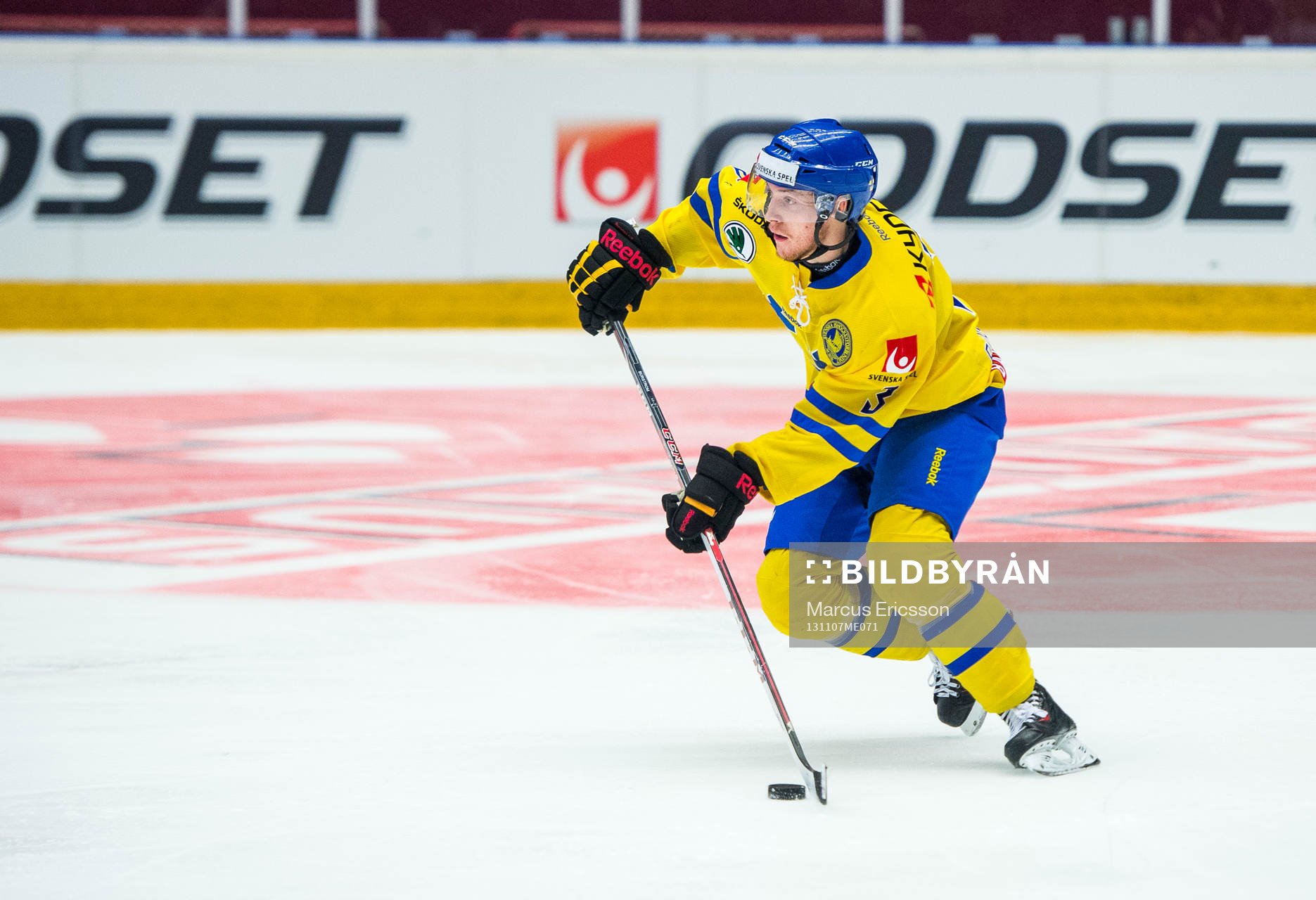 Sveriges Niclas Burström