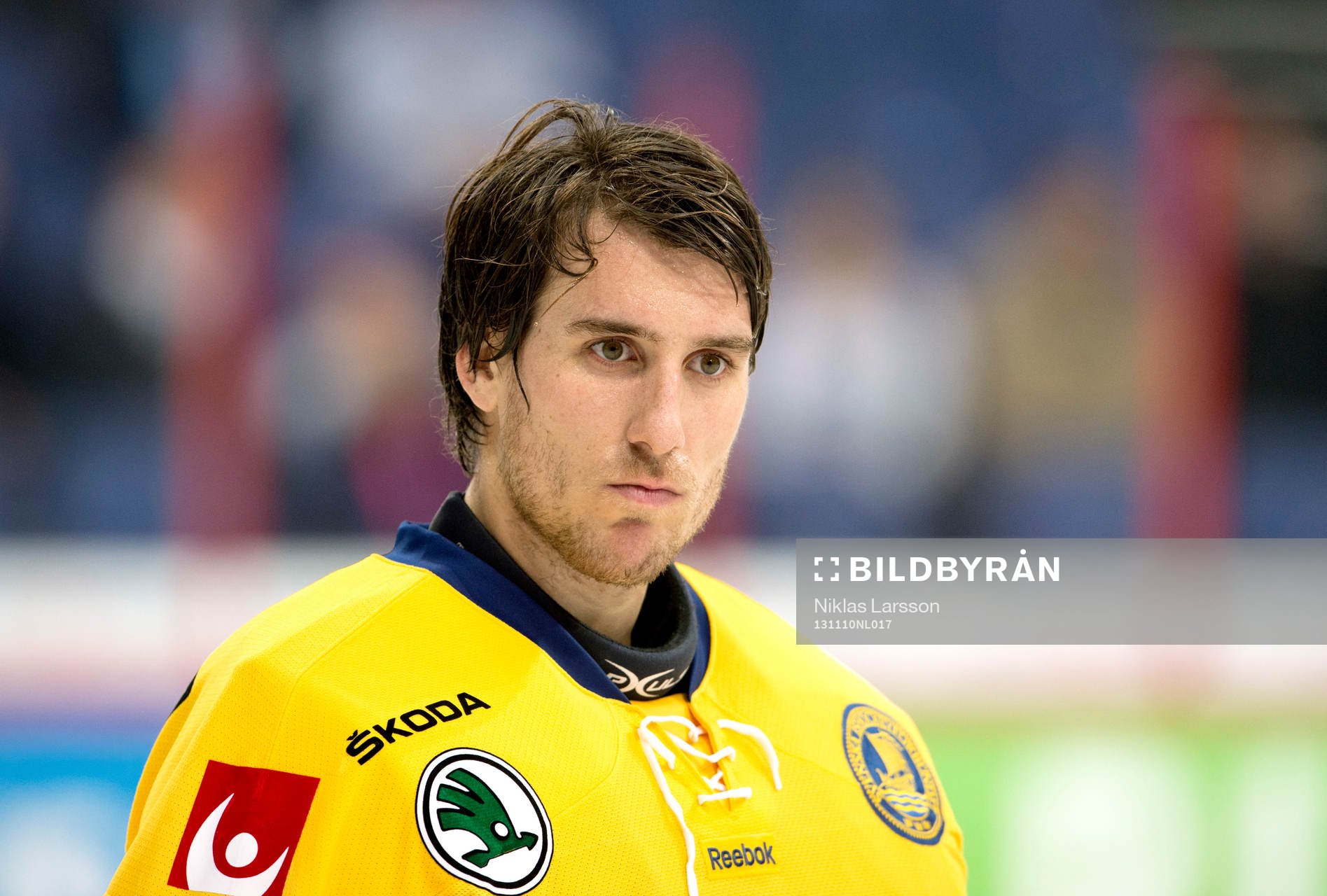 Sveriges målvakt Henrik Karlsson