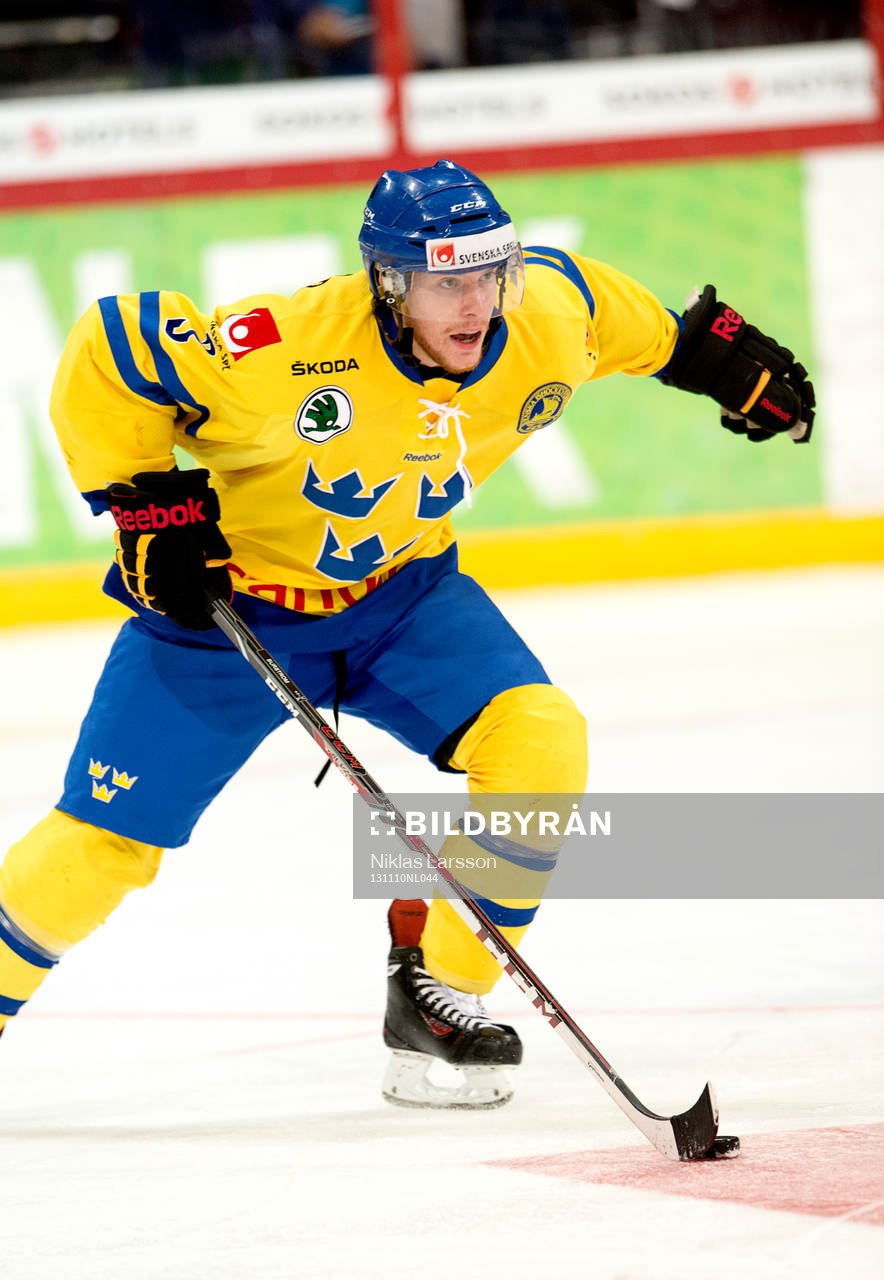 Sveriges Niclas Burström