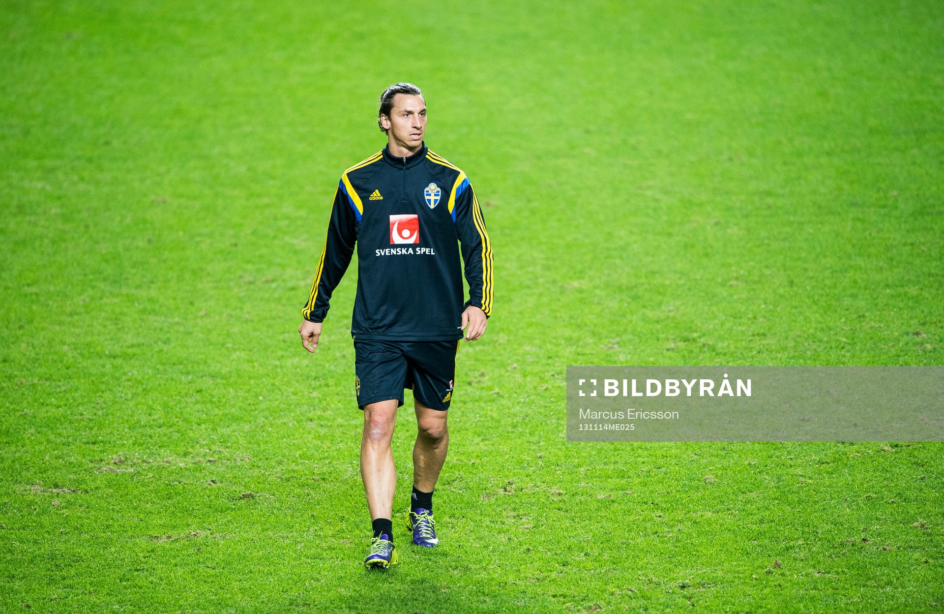 Zlatan Ibrahimovic