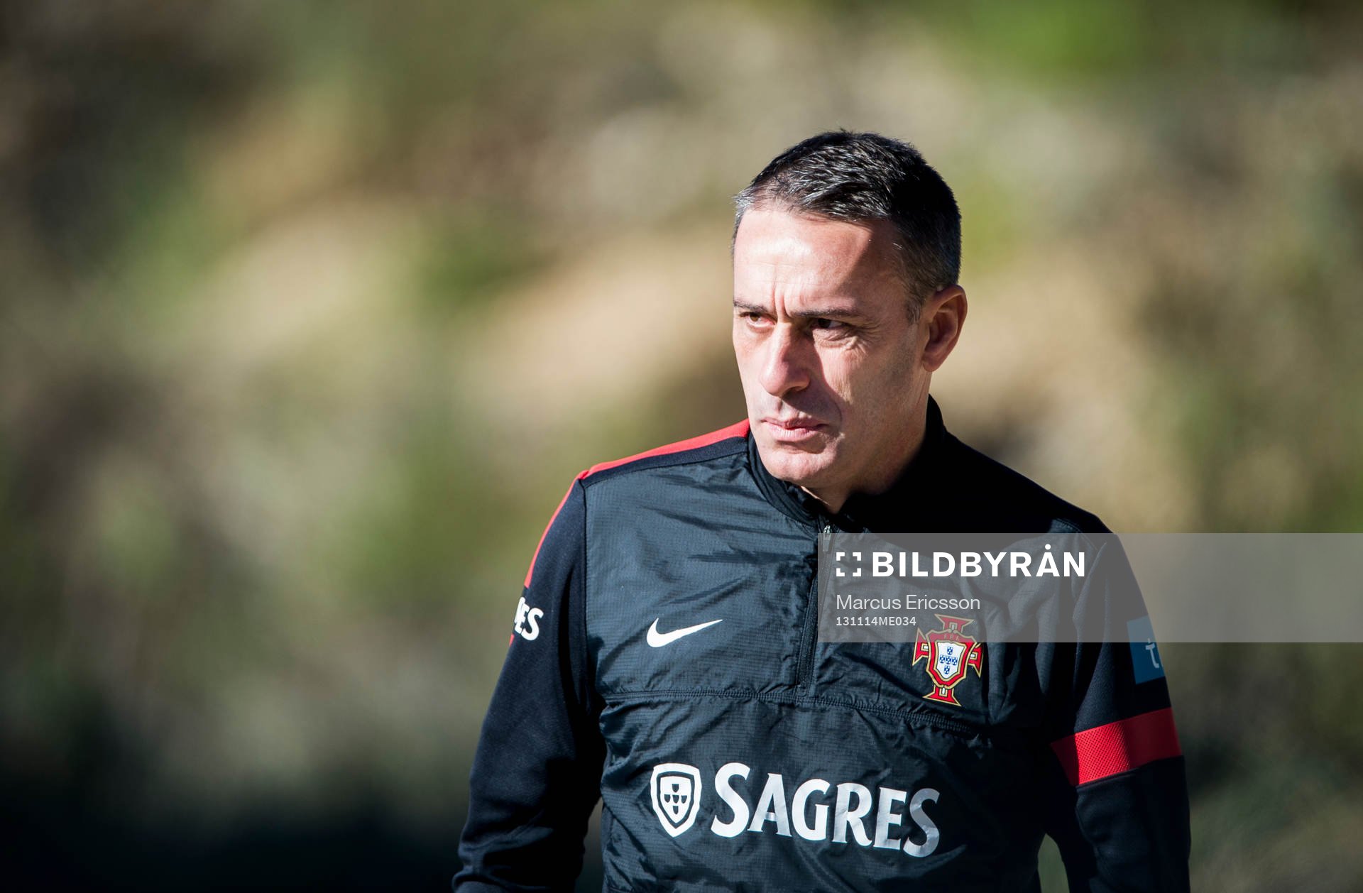 Förbundskaten Paulo Bento