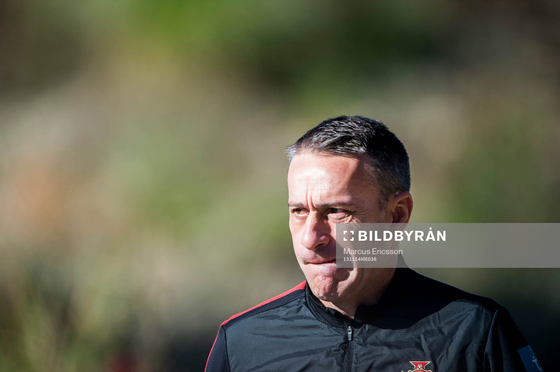 Förbundskaten Paulo Bento