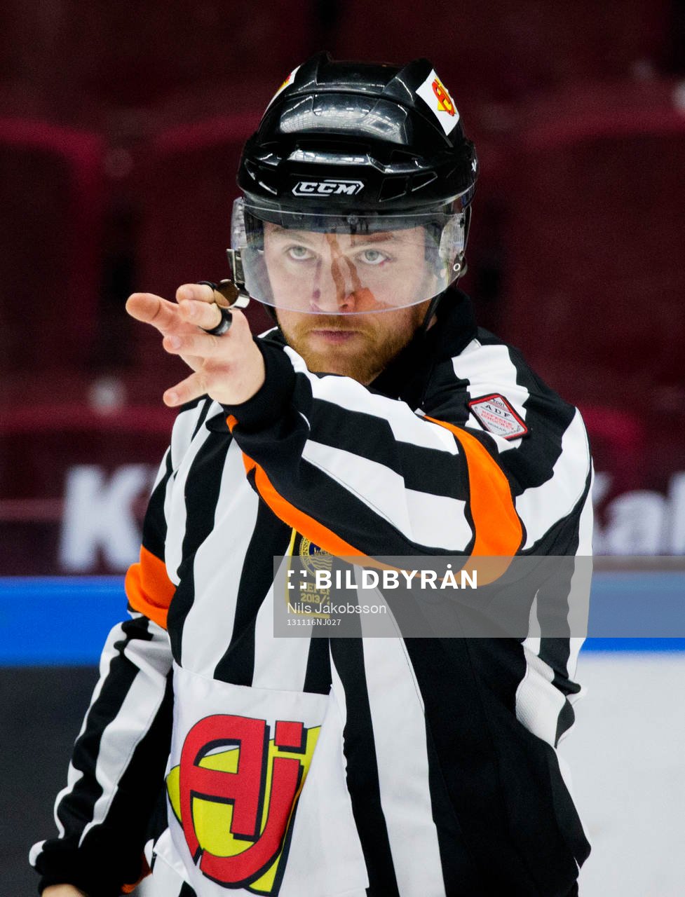 Domare Johan Häll