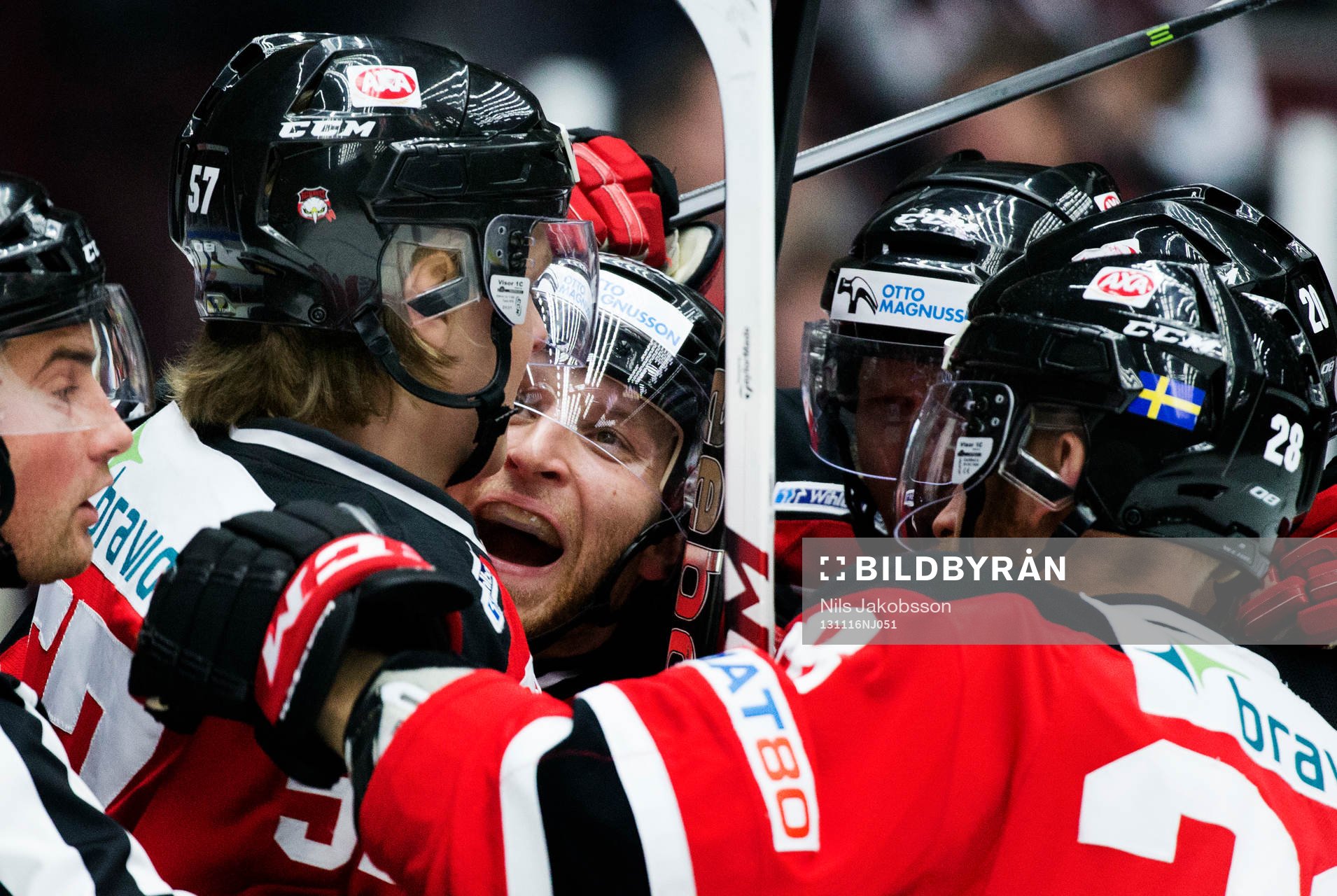 Malmö Redhawks Calle Andersson, Fredrik Storm jublar
