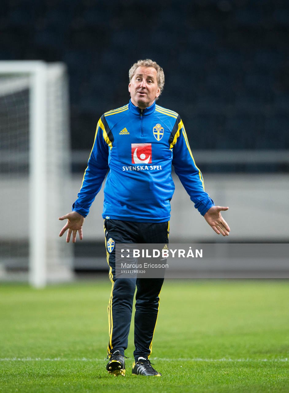 Förbundskapten Erik Hamrén