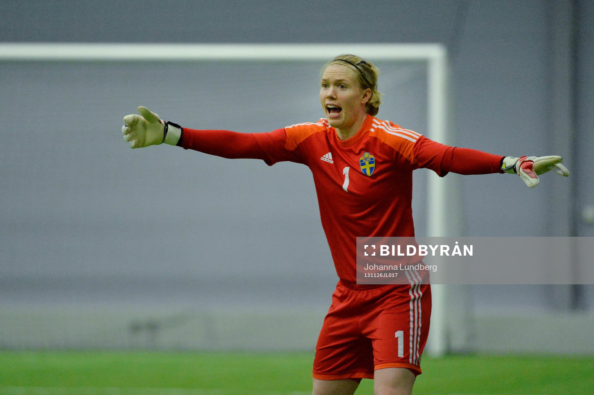 Hedvig Lindahl