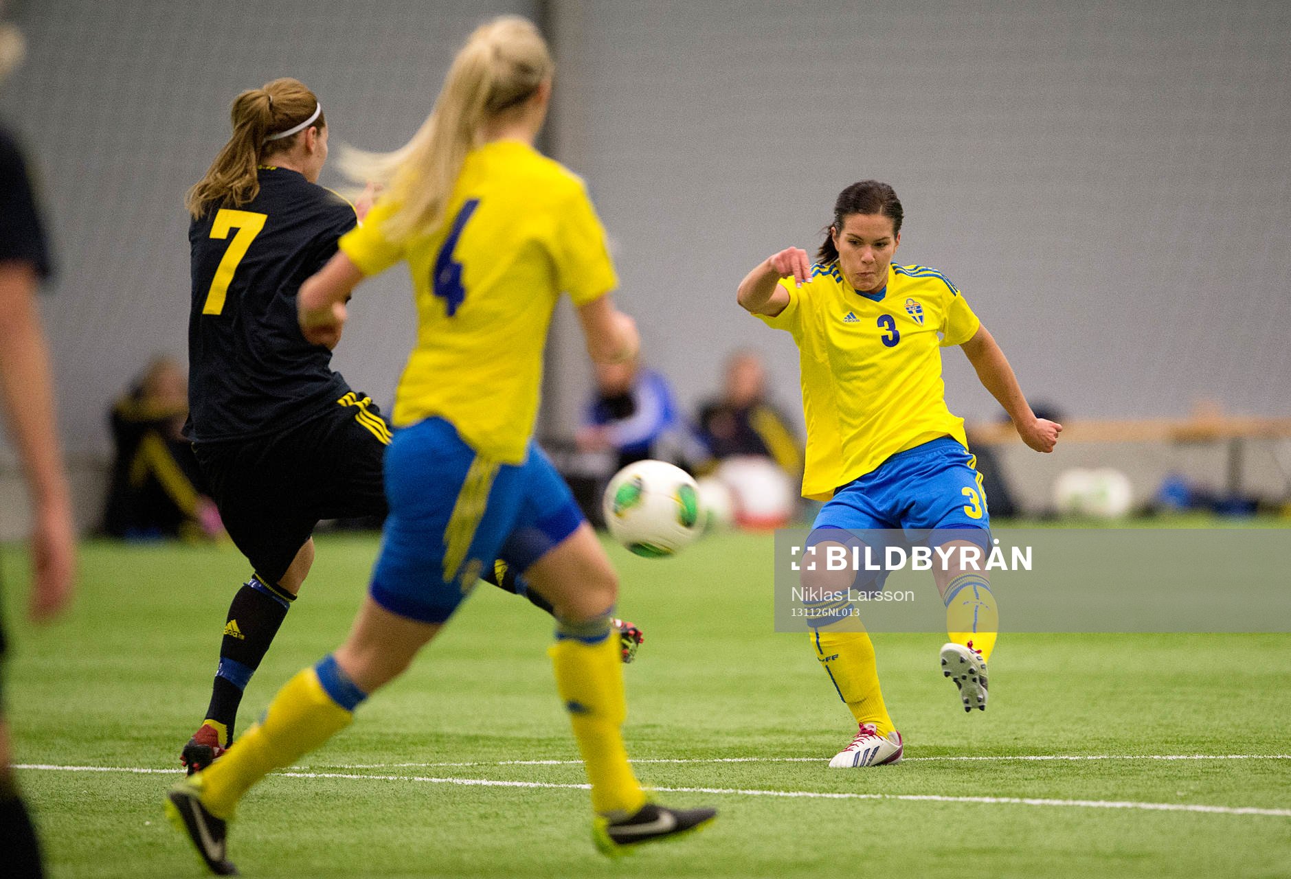 Hanna Folkesson, Sverige